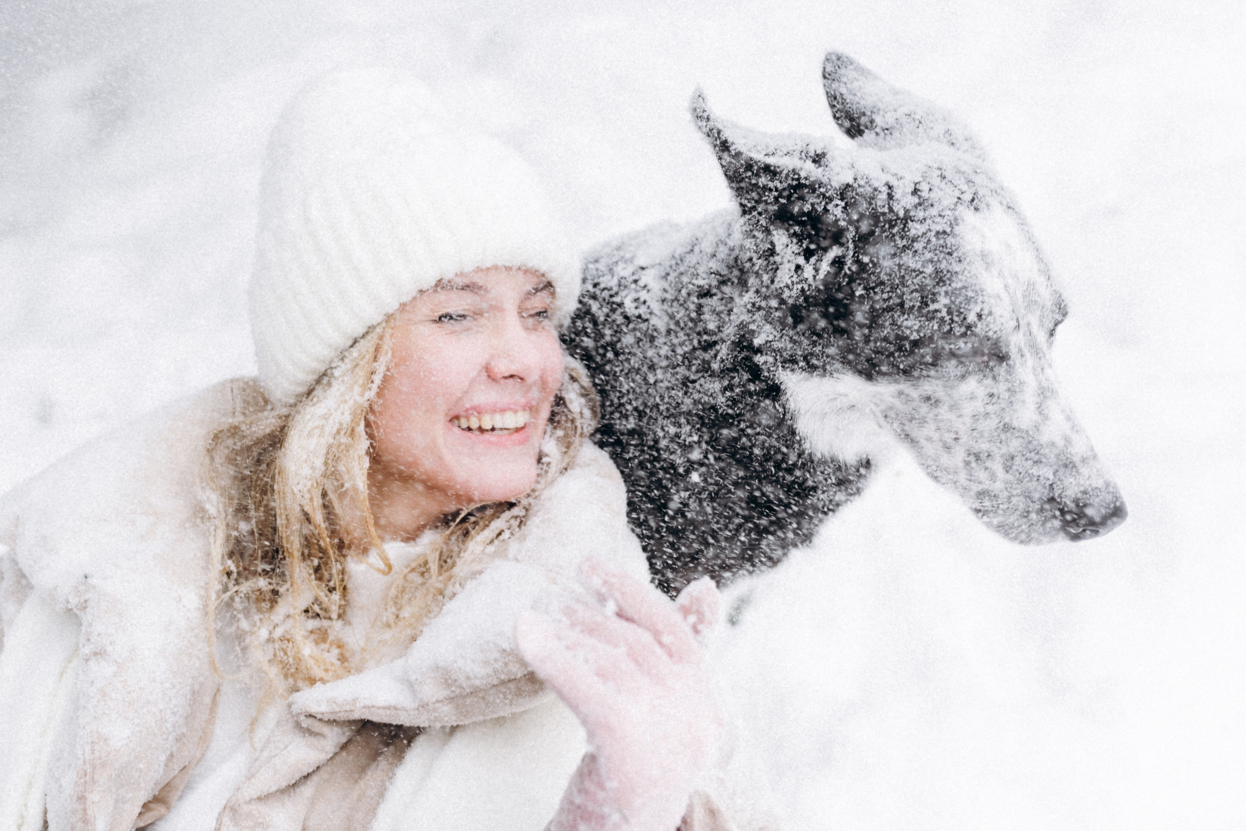 Аня и Милан. Фотограф анималист в Москве Ольга Агушева