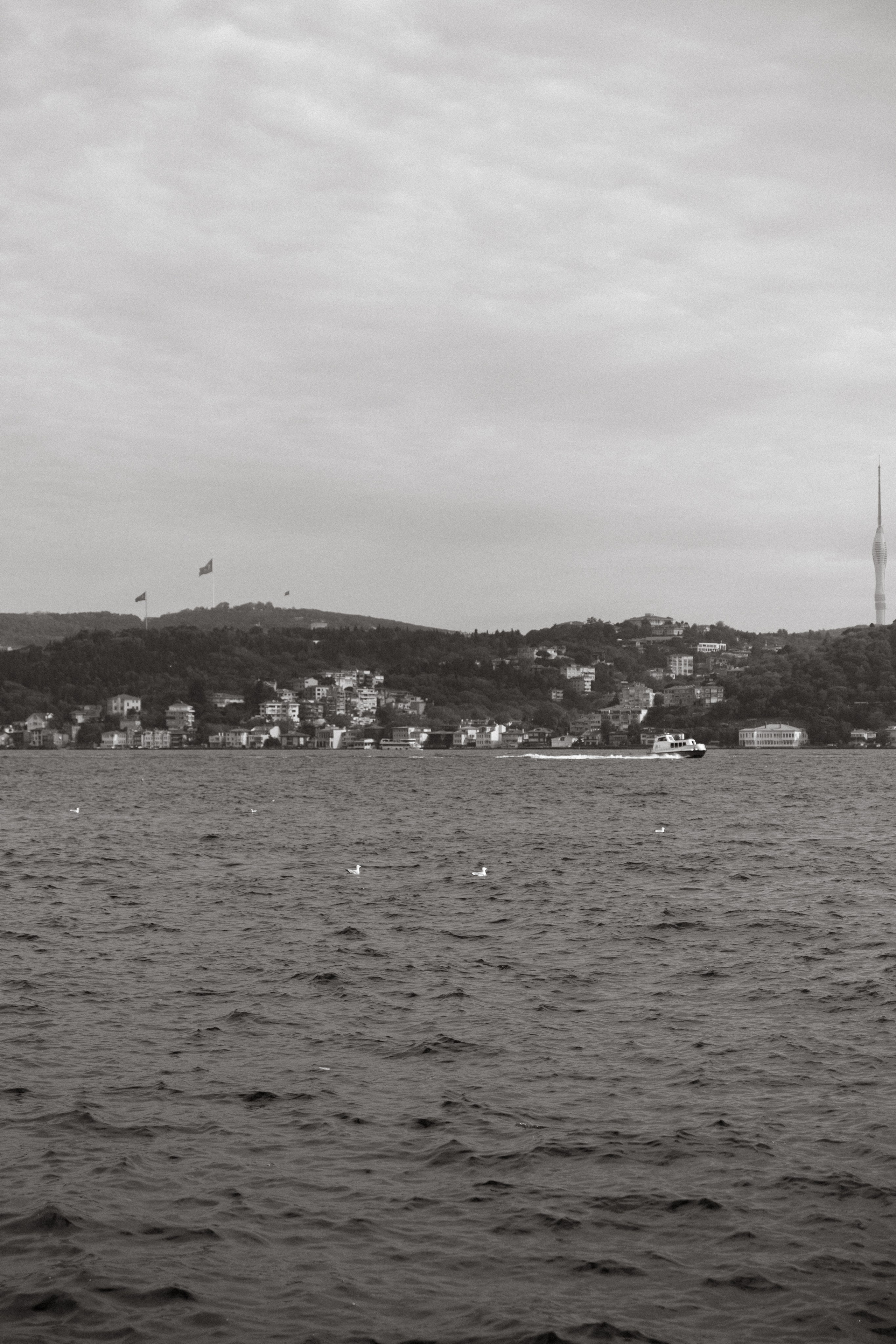 Алина и Саша. Свадебный фотограф Марусина Катерина