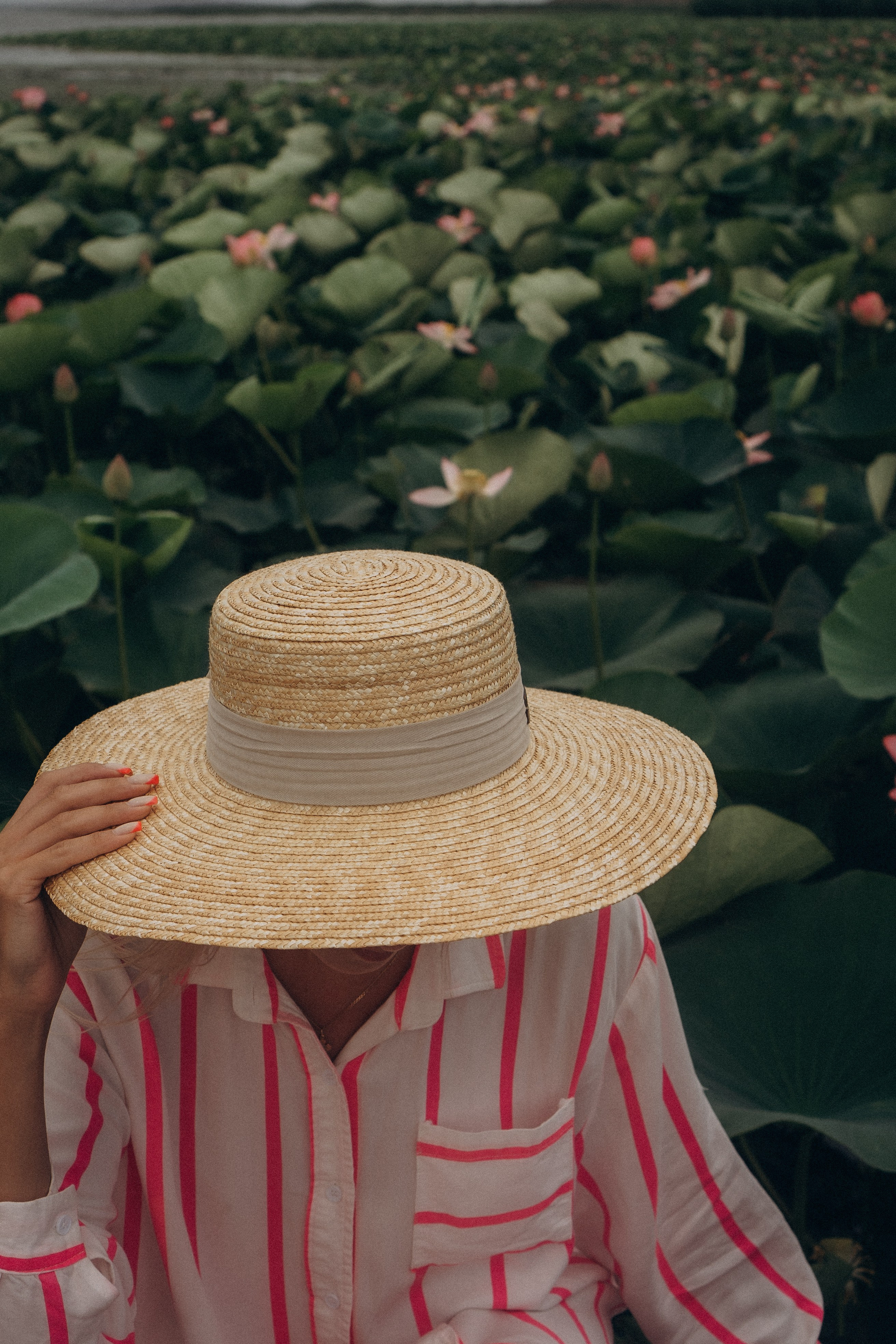 ЛОТОСОВАЯ ПОЛЯНА. Профессиональный фотограф, Санкт-Петербург — Виктория Богомолова