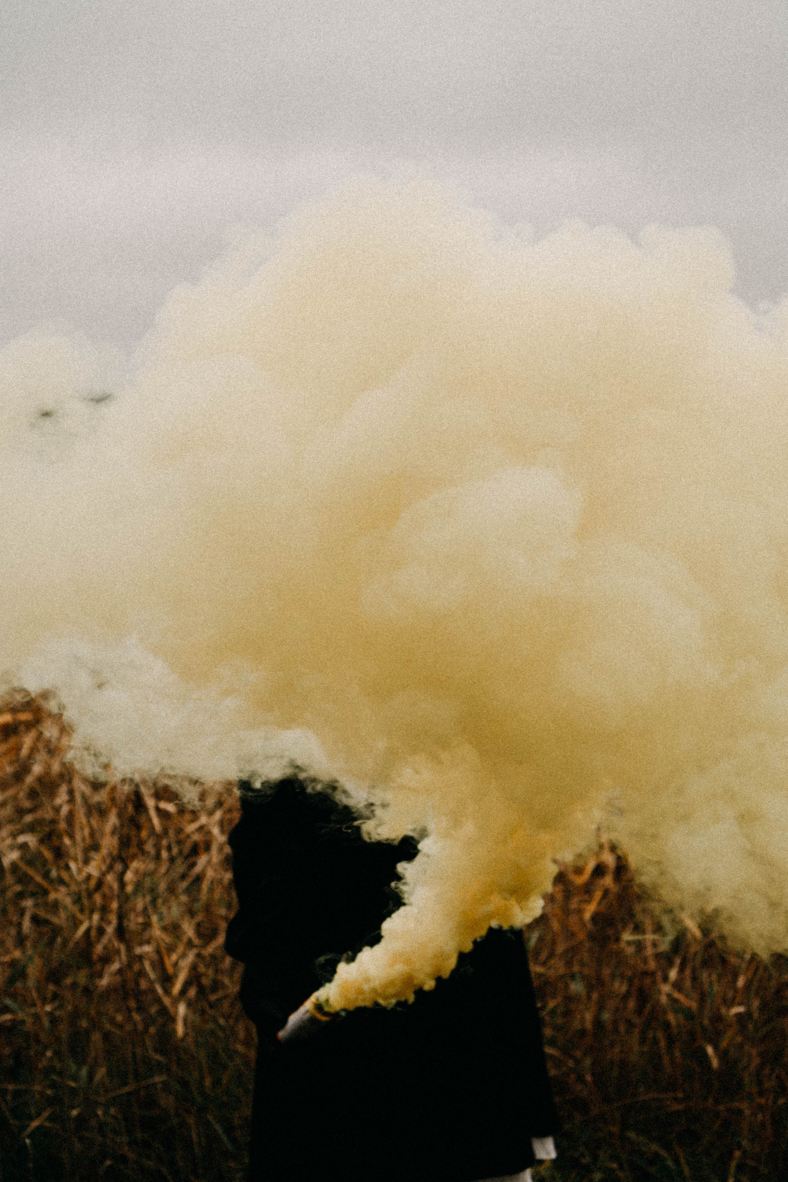 Осеняя. Профессиональный фотограф, Санкт-Петербург — Виктория Богомолова