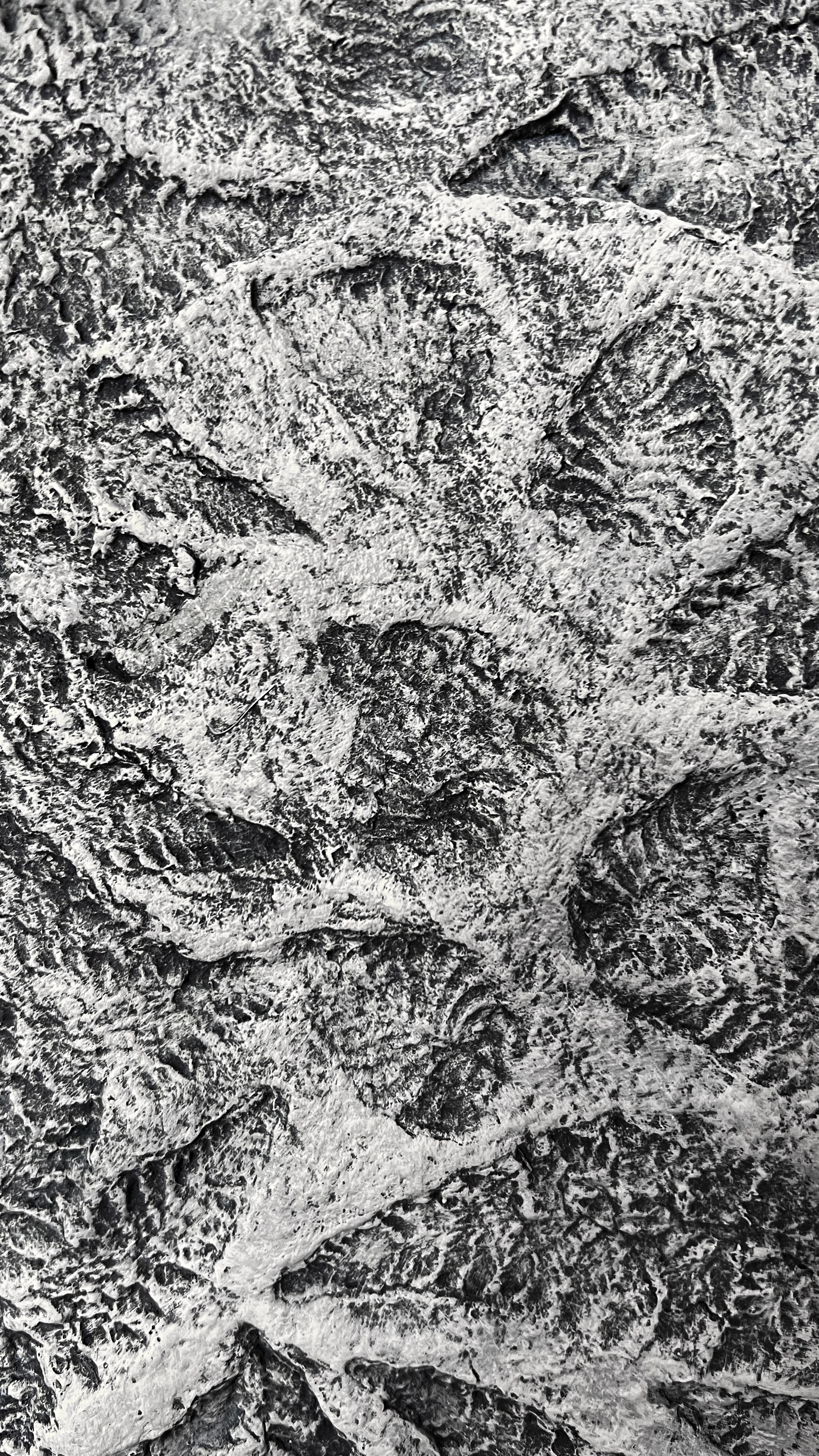 Terra Incognita. Неизвестная земля. Художник Екатерина Старовойтова