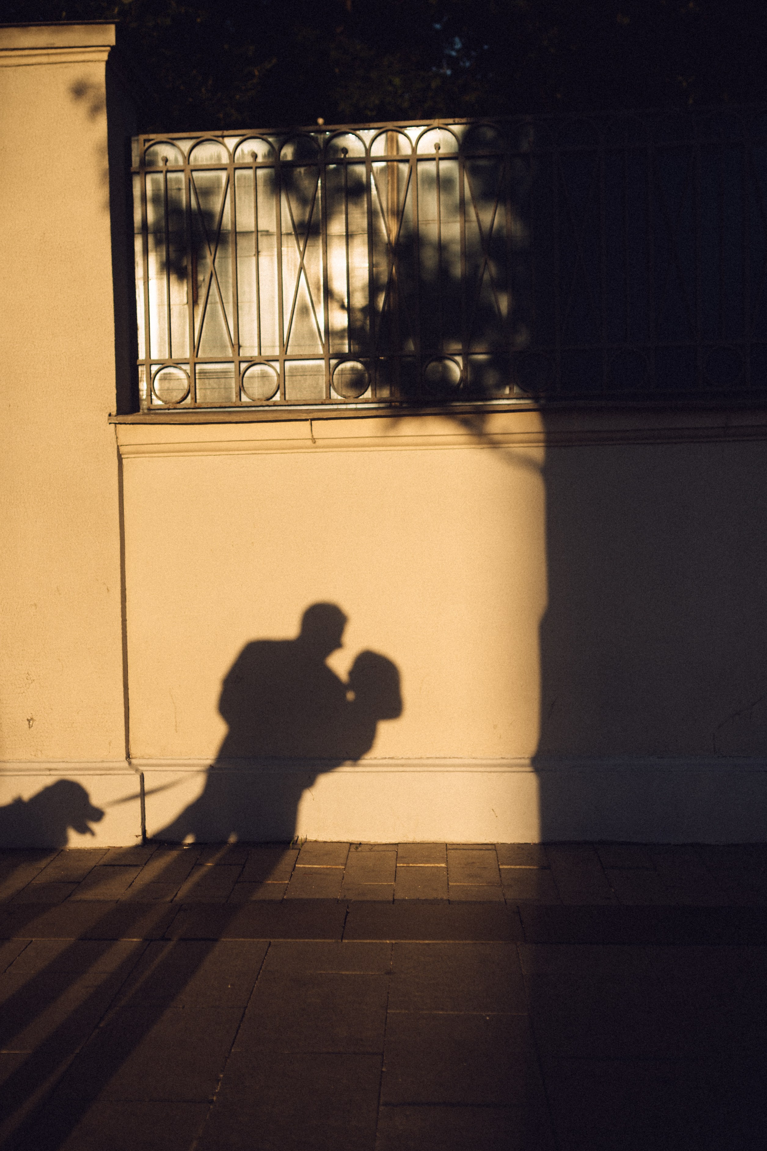 Кино о чувствах к друг другу. Фотограф Александр Быков