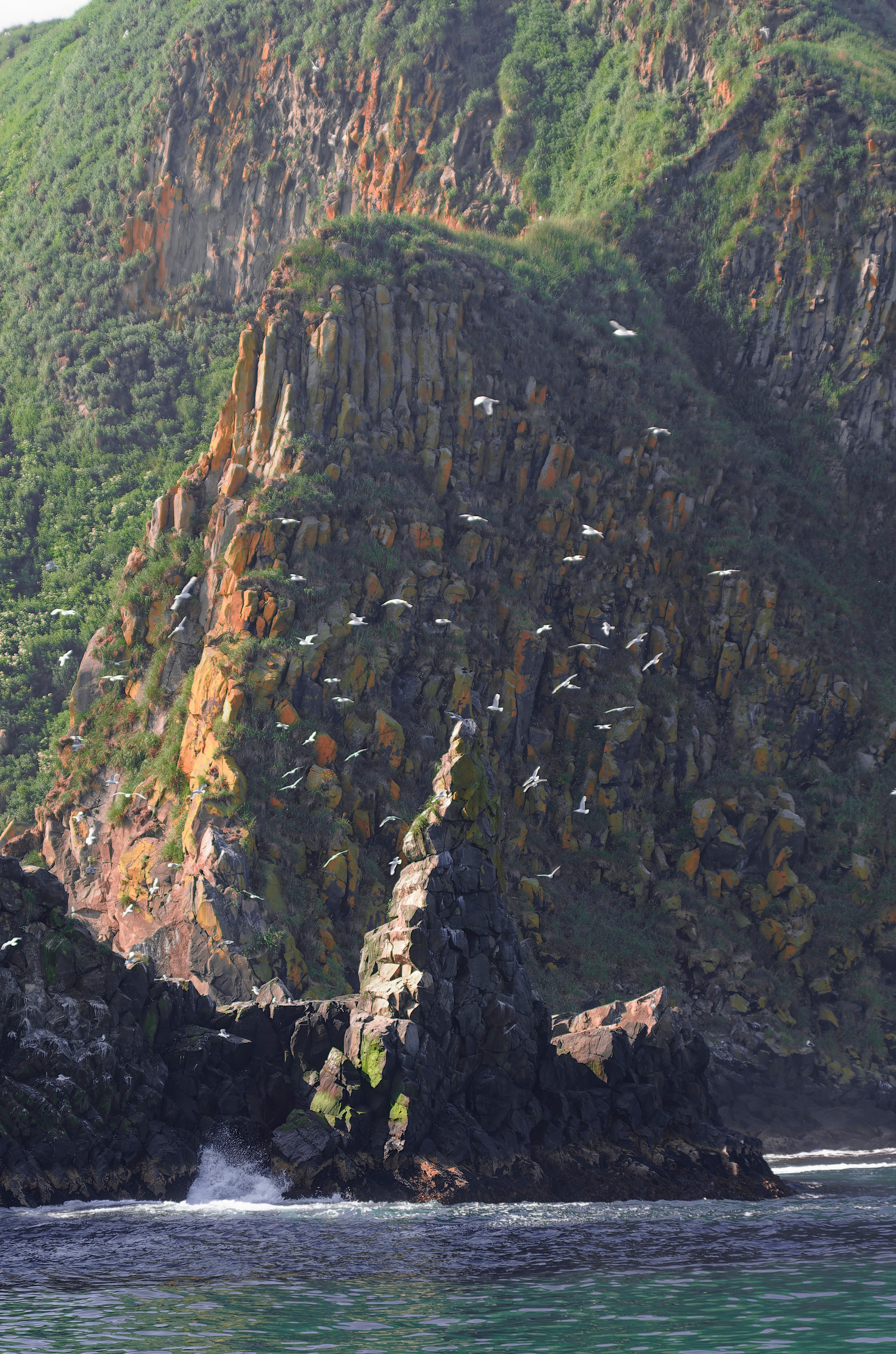 Камчатка. Фототрип. Тур?. Семоха Валерий. Фотограф