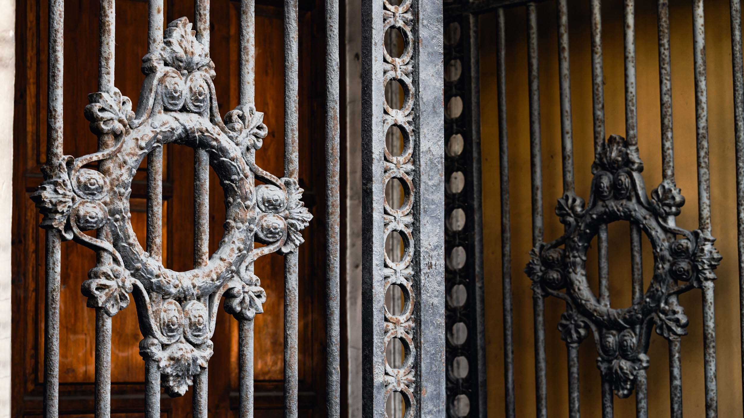 Saint Petersburg. The Andris