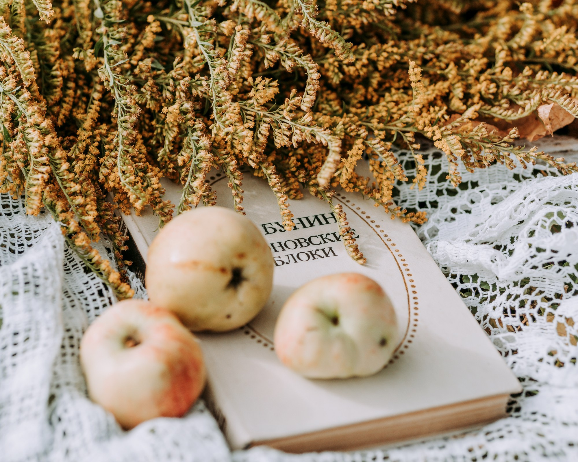 Галина. Портретный фотограф Павлова Светлана / Брянск /