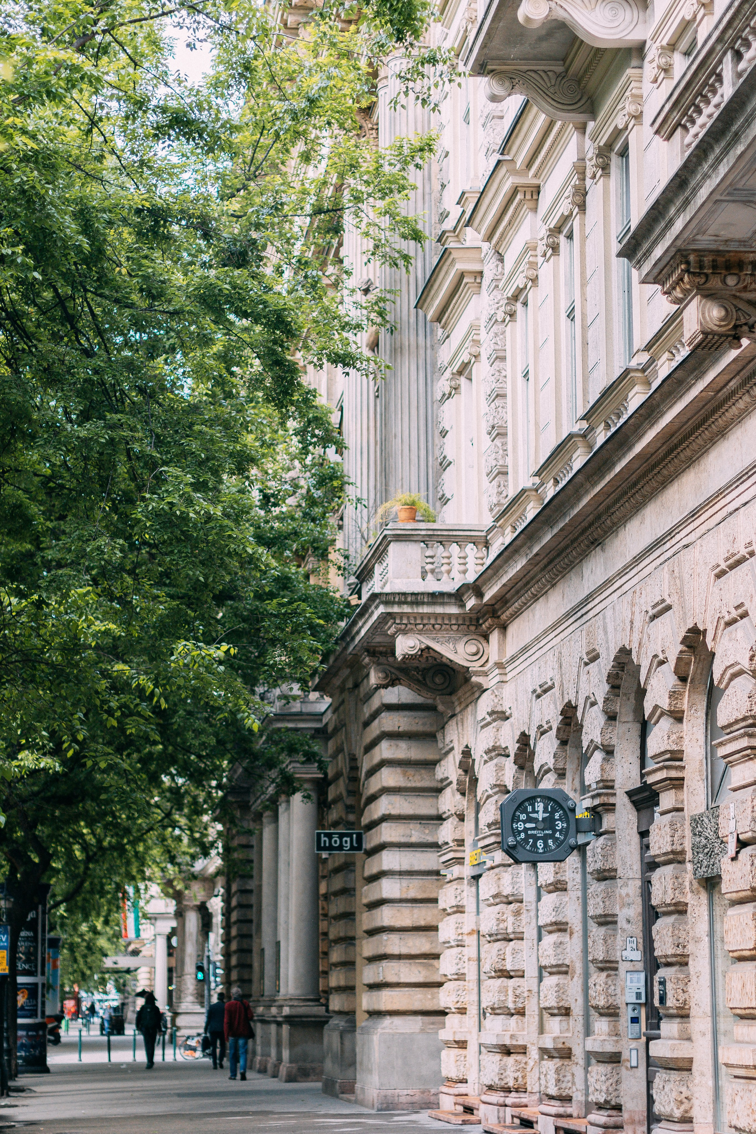 Будапешт. Аня Степанова