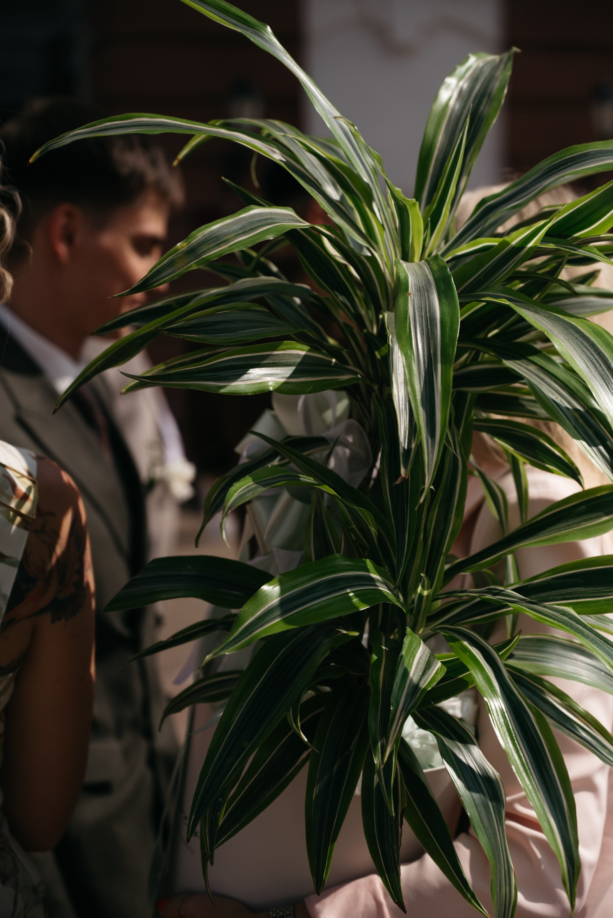 Татьяна&Илья. Свадебный фотограф Ижевск Петр Шишков