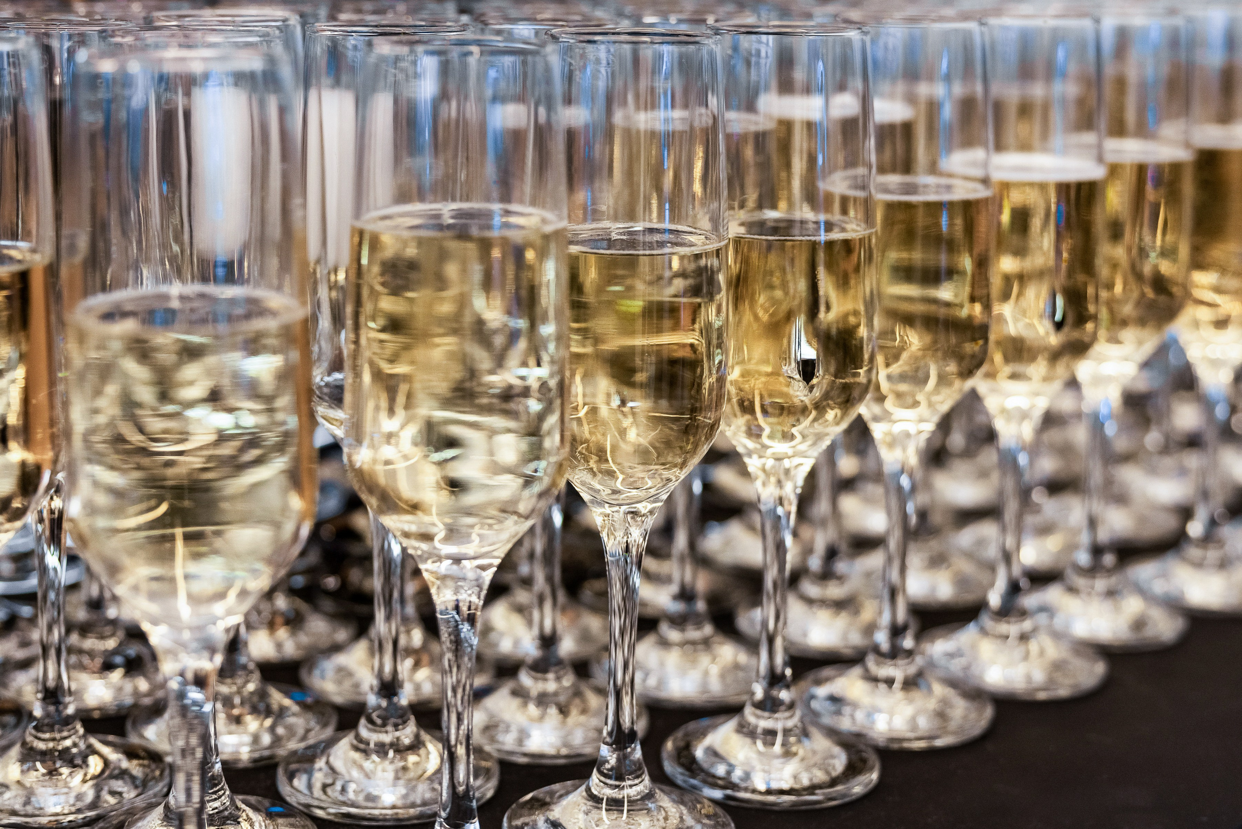 Премия Формула Т1 [Кластер Ломоносов]. Арина Тамочкина. Фотограф Краснодарю