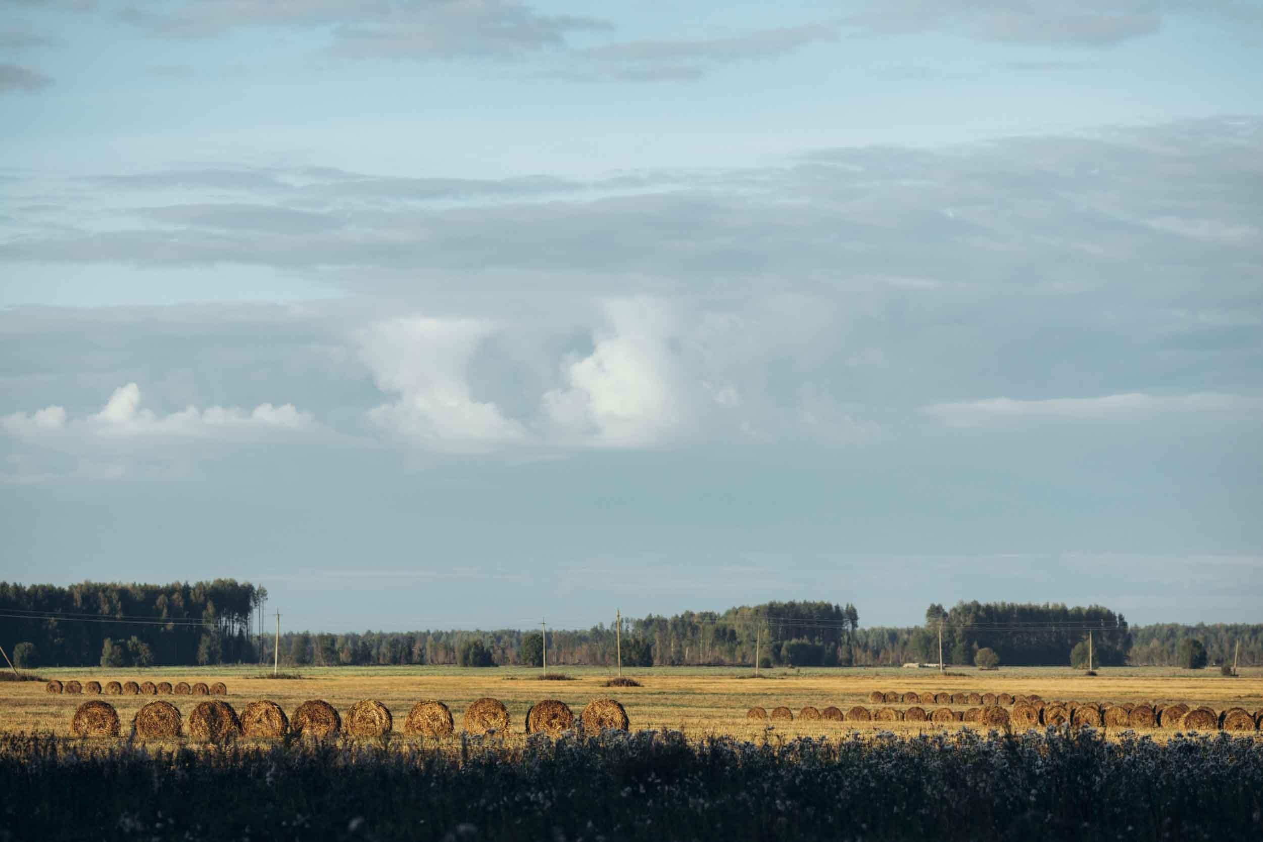 Природные пейзажи. Наталия Клевинскас портретный фотограф в Костроме