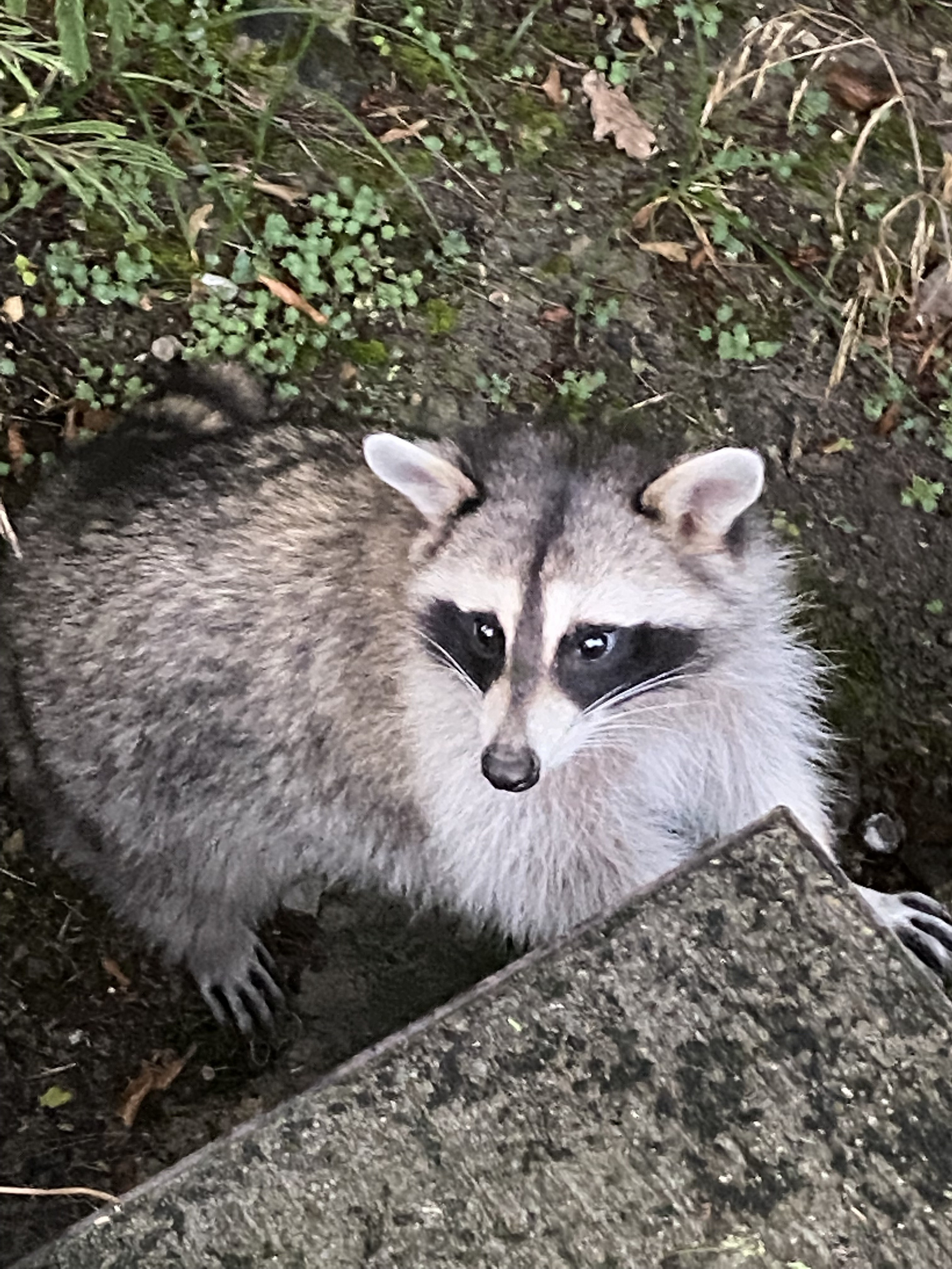 Тренинг лагерь. Галерея ПрофАС