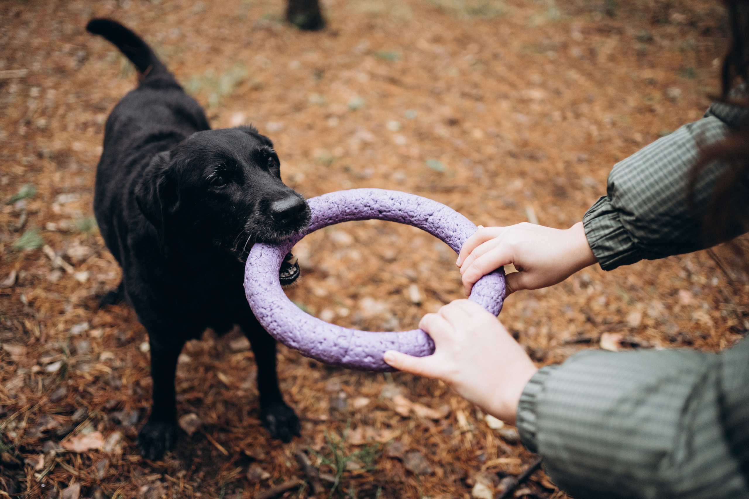 Таня и Молли. Фотограф-анималист Анастасия Большакова