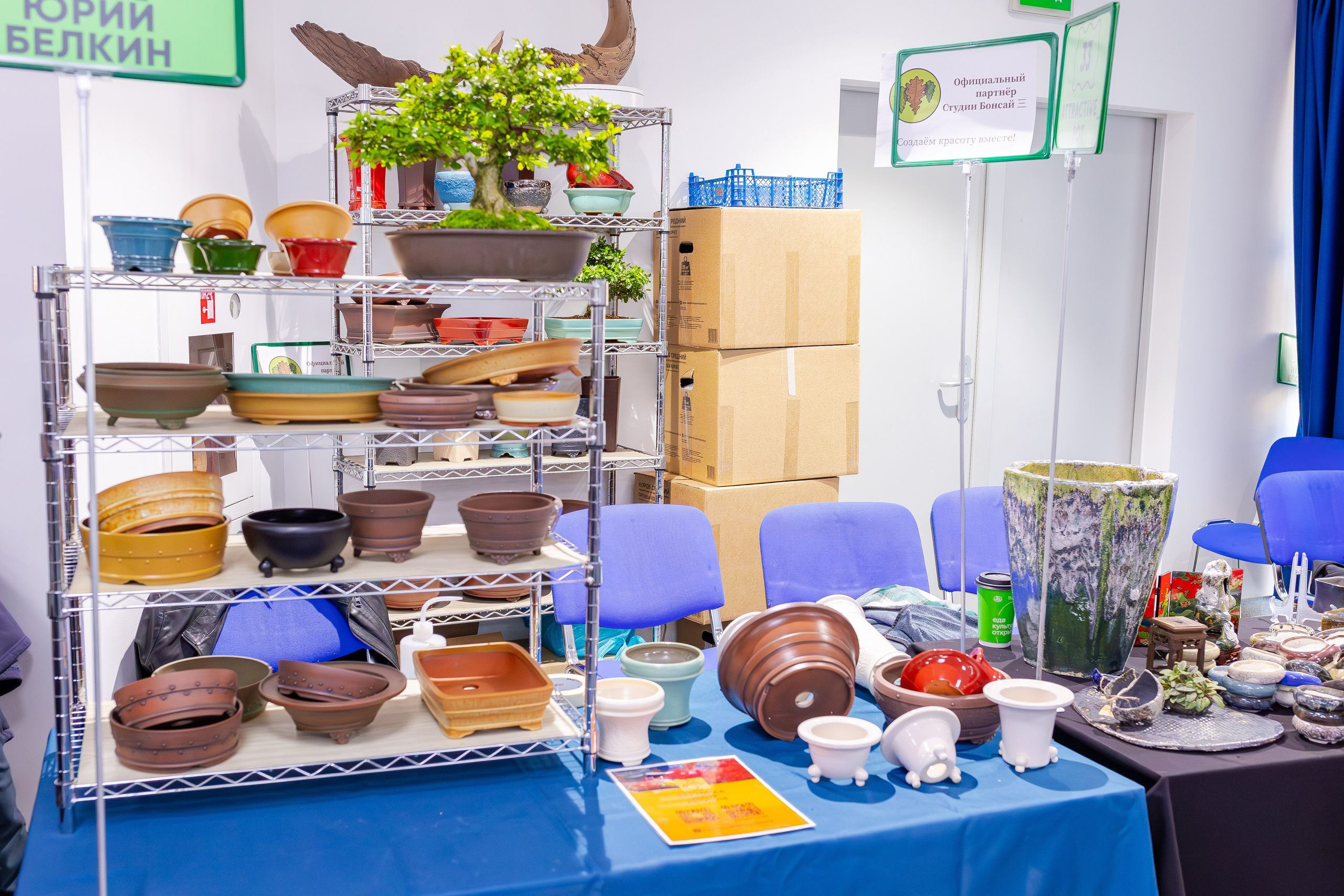 Орхидиум сентябрь 2025. Александра Куликова фотограф, Москва