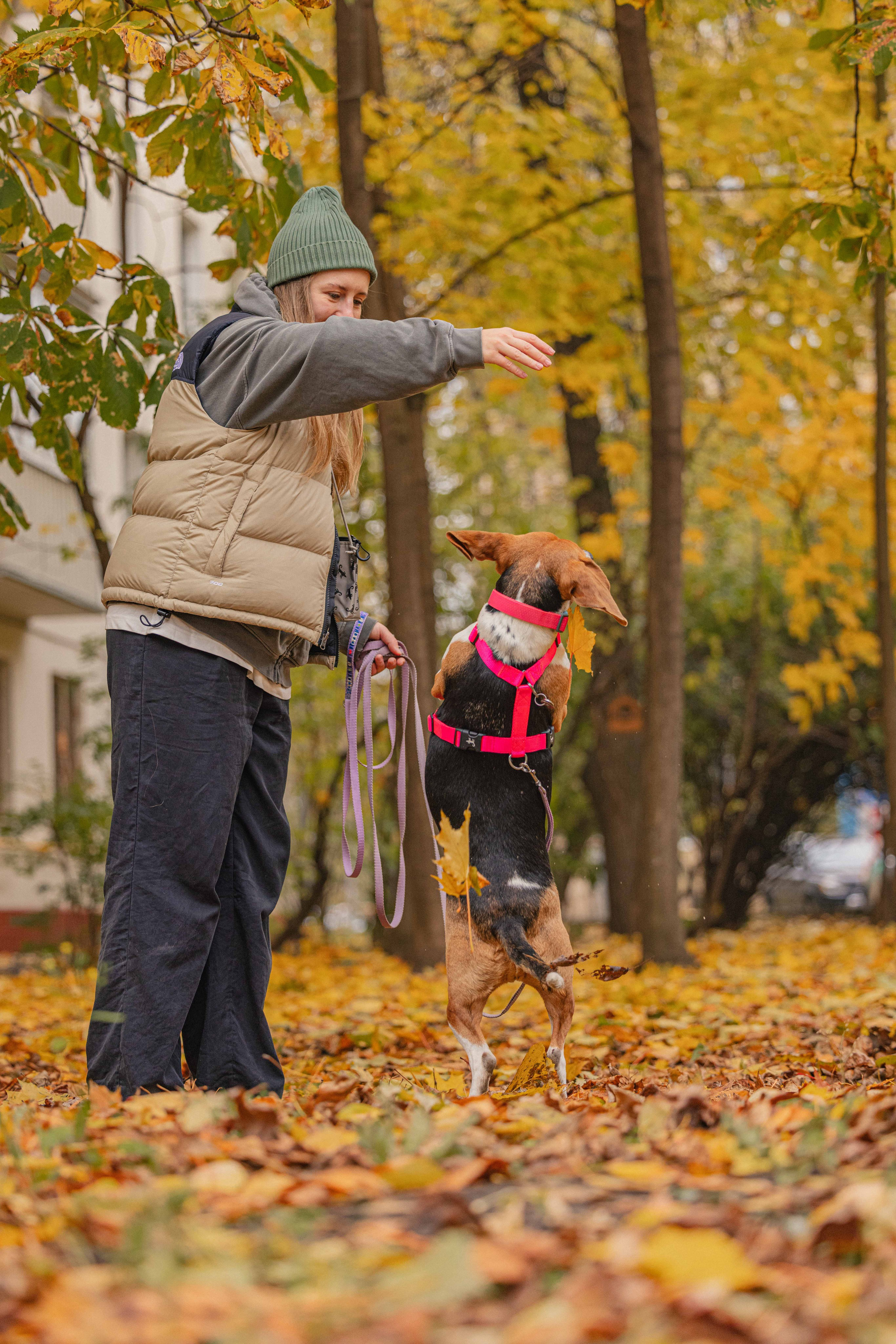 Света и Ива. Фотограф-анималист в Москве Лера Черноног