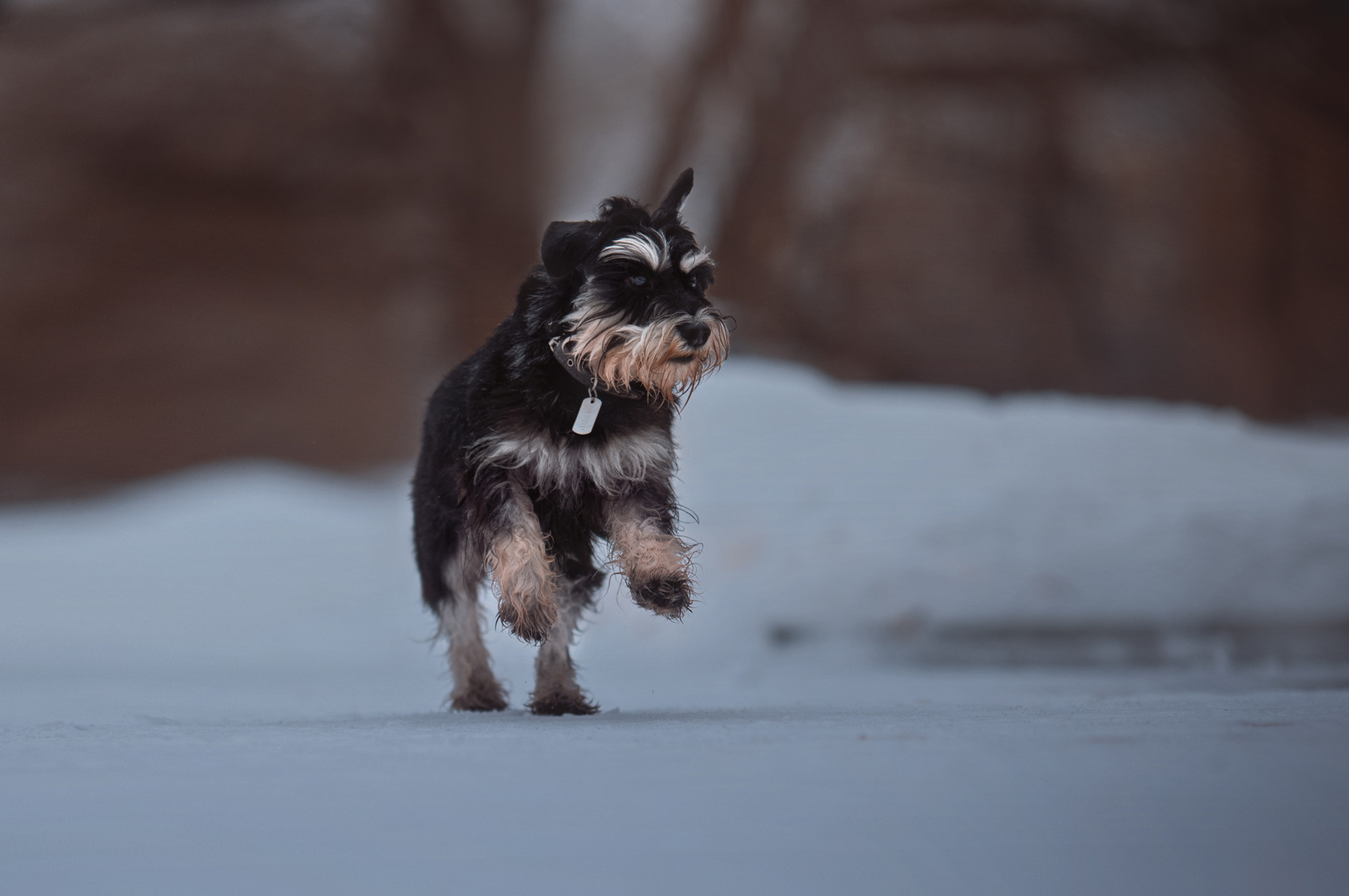 Уши, лапы, хвост. Yuliana Ra | Юлиана Ра