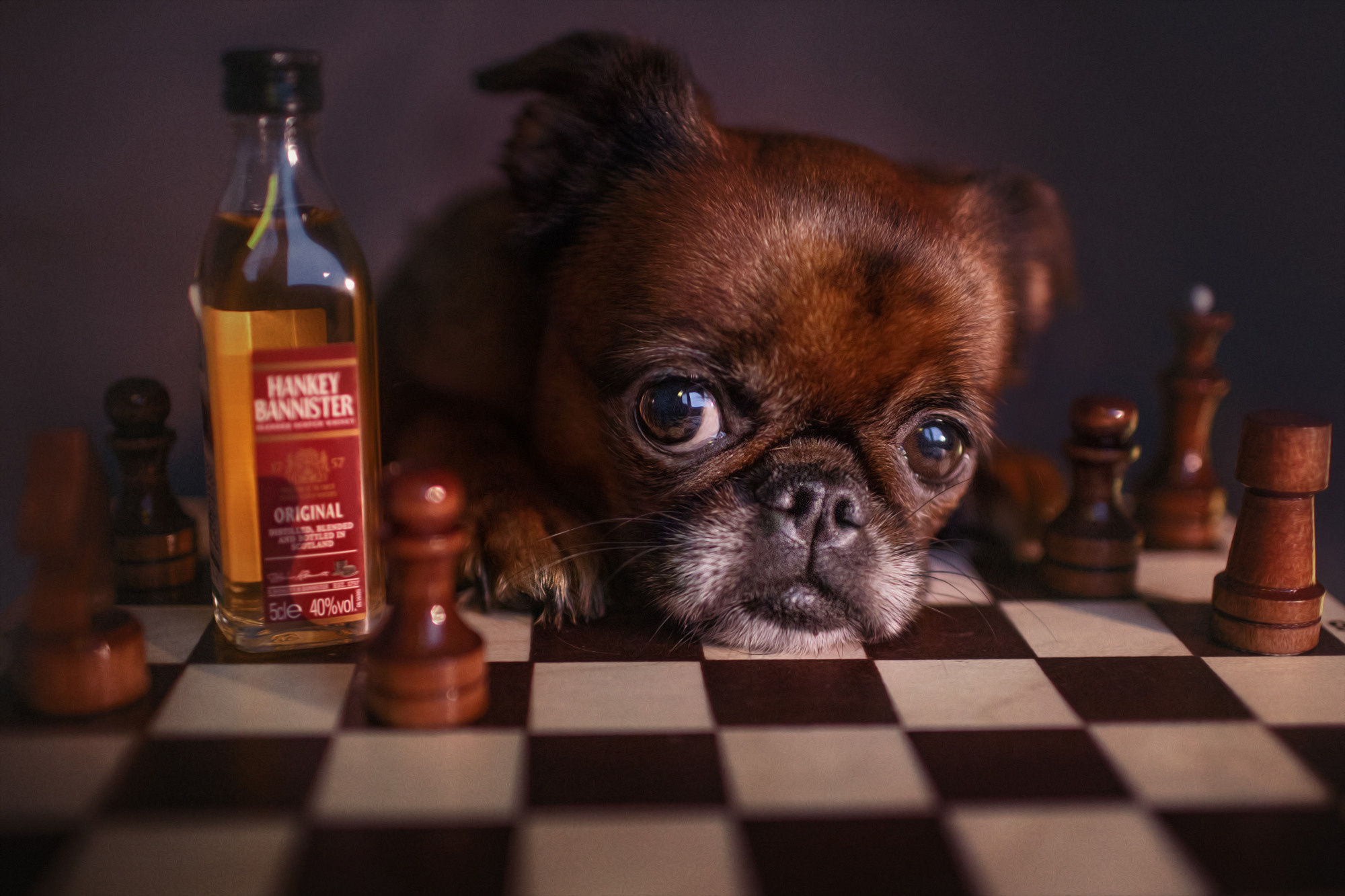 Уши, лапы, хвост. Yuliana Ra | Юлиана Ра