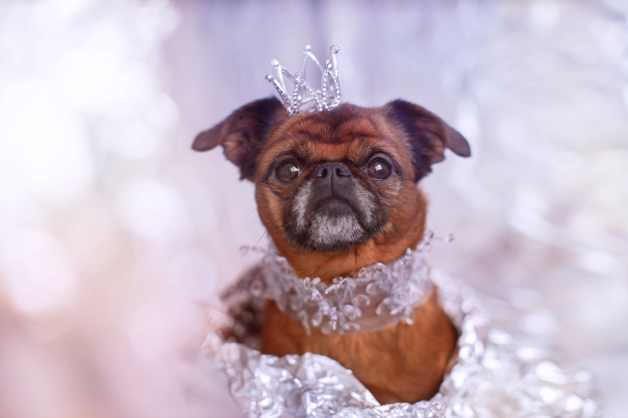 Уши, лапы, хвост. Yuliana Ra | Юлиана Ра