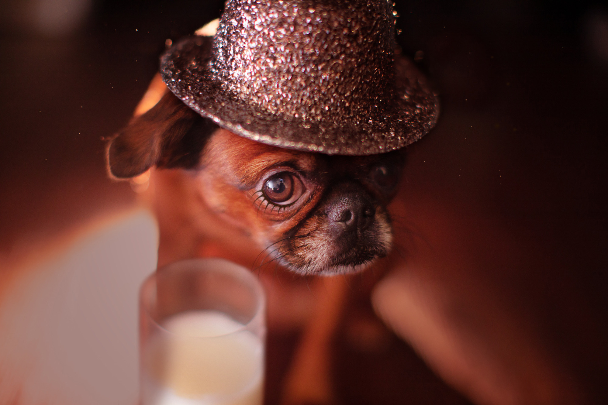 Уши, лапы, хвост. Yuliana Ra | Юлиана Ра