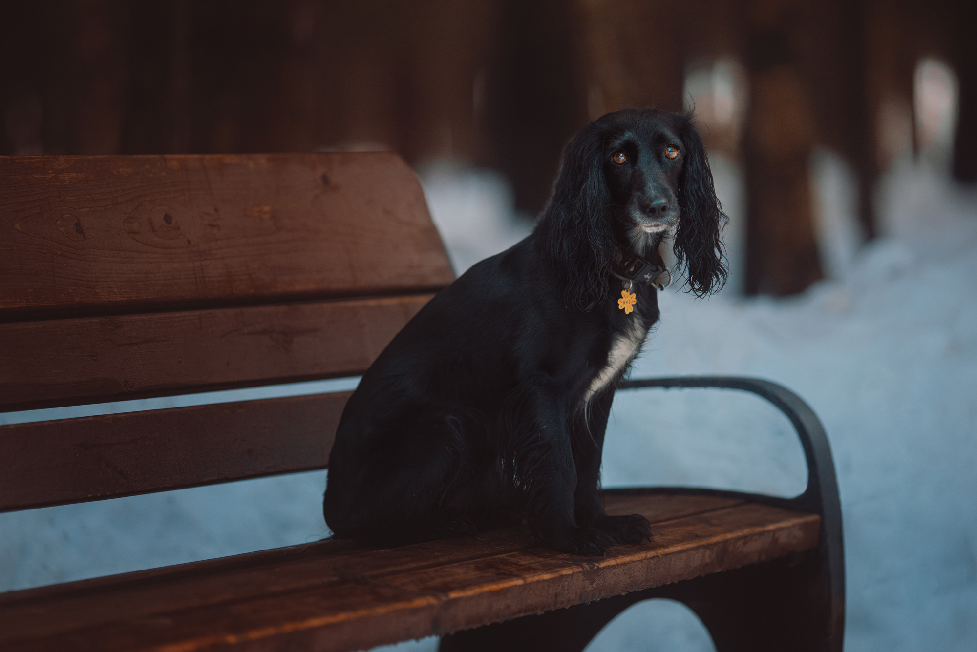 Уши, лапы, хвост. Yuliana Ra | Юлиана Ра