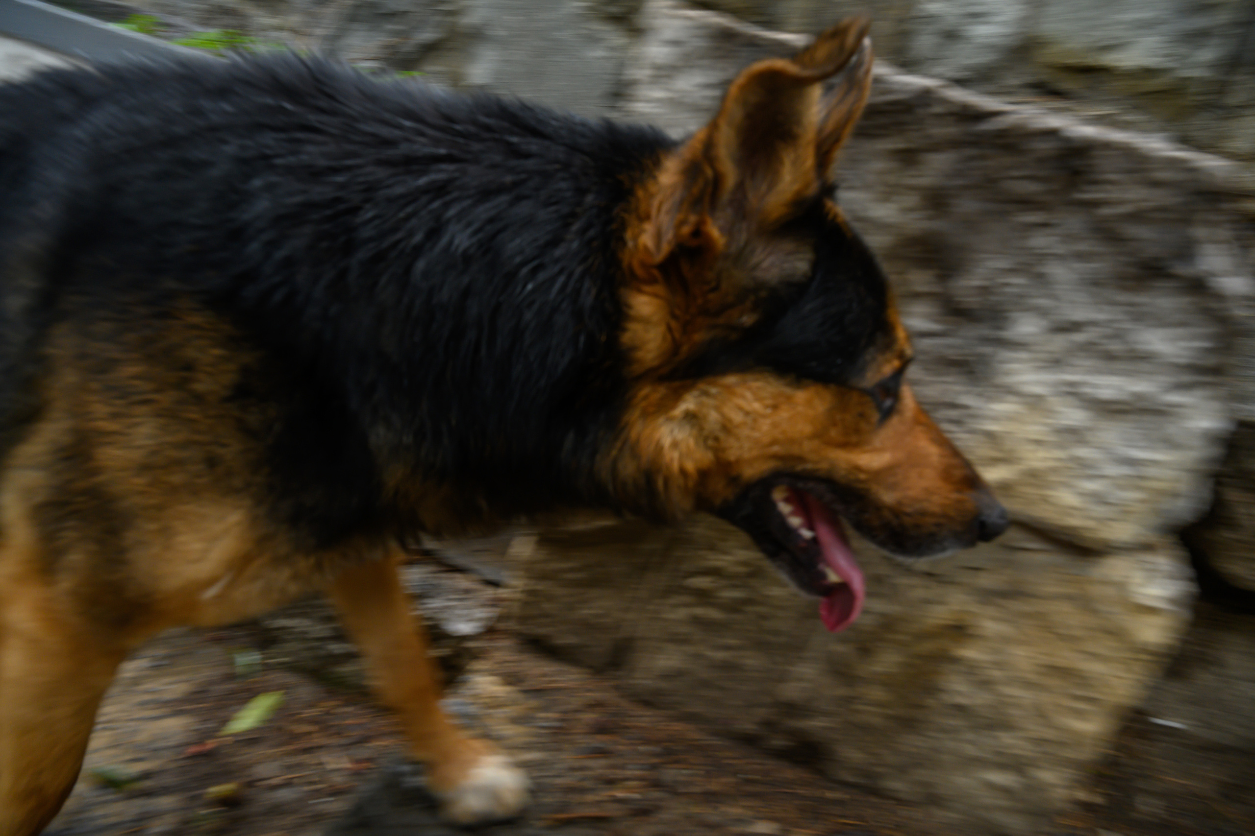 Crimea, 2021. Dimitri Bakhtadze photographer