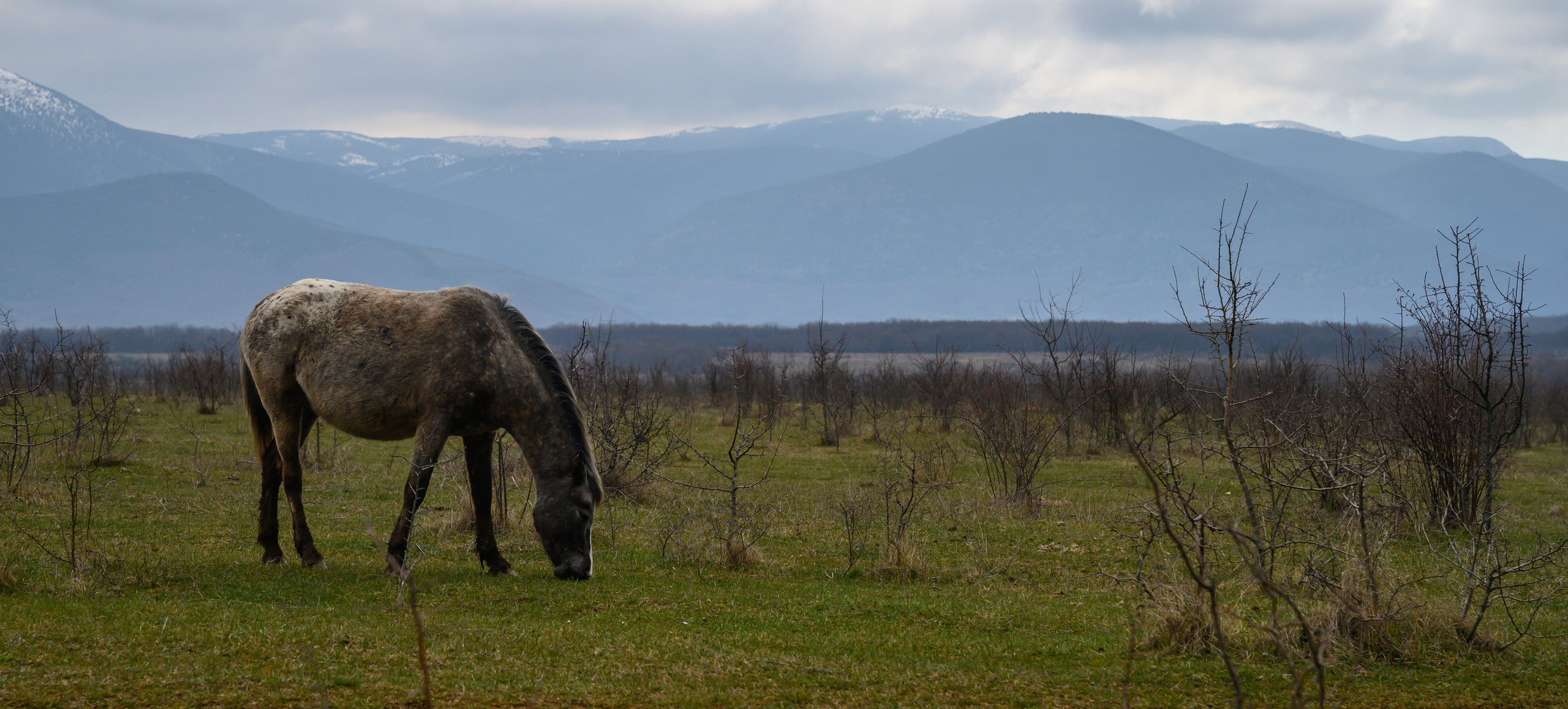 Crimea, 2021. Dimitri Bakhtadze photographer