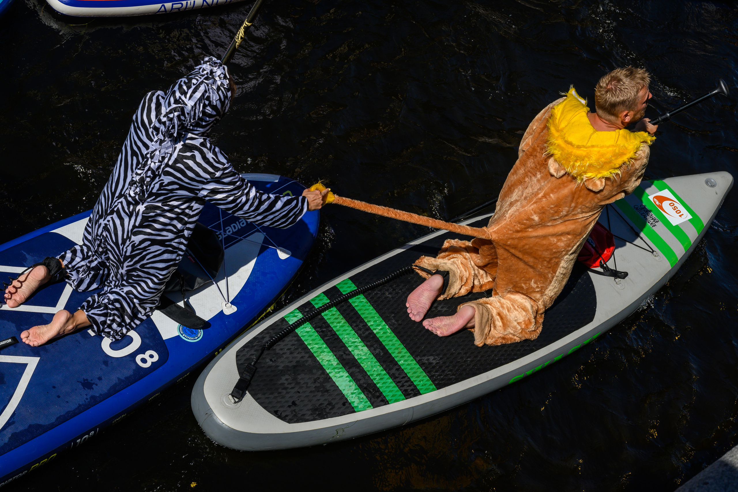 Dimitri Bakhtadze, SUP St. Petersburg. Dimitri Bakhtadze photographer