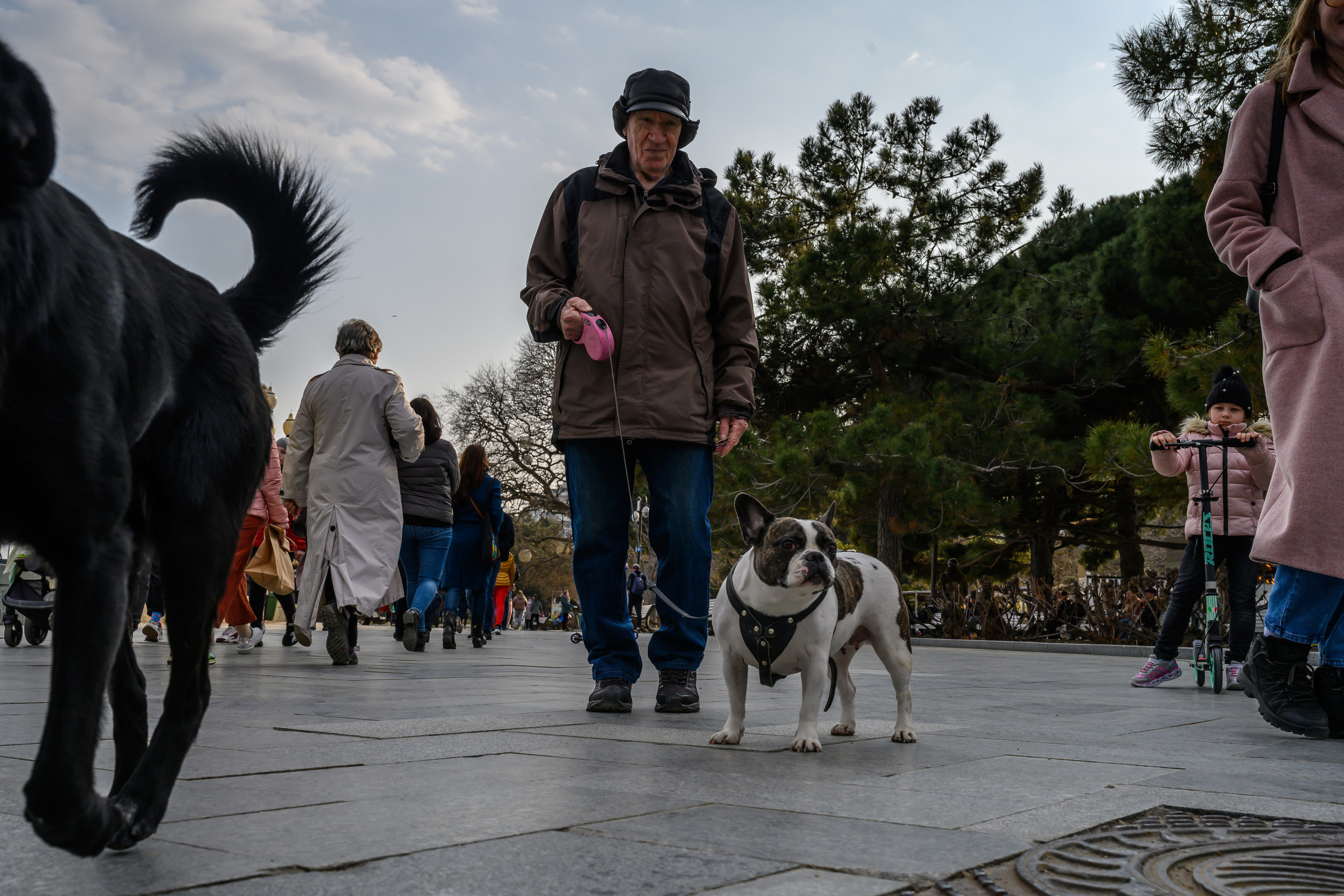 Crimea, 2021. Dimitri Bakhtadze photographer