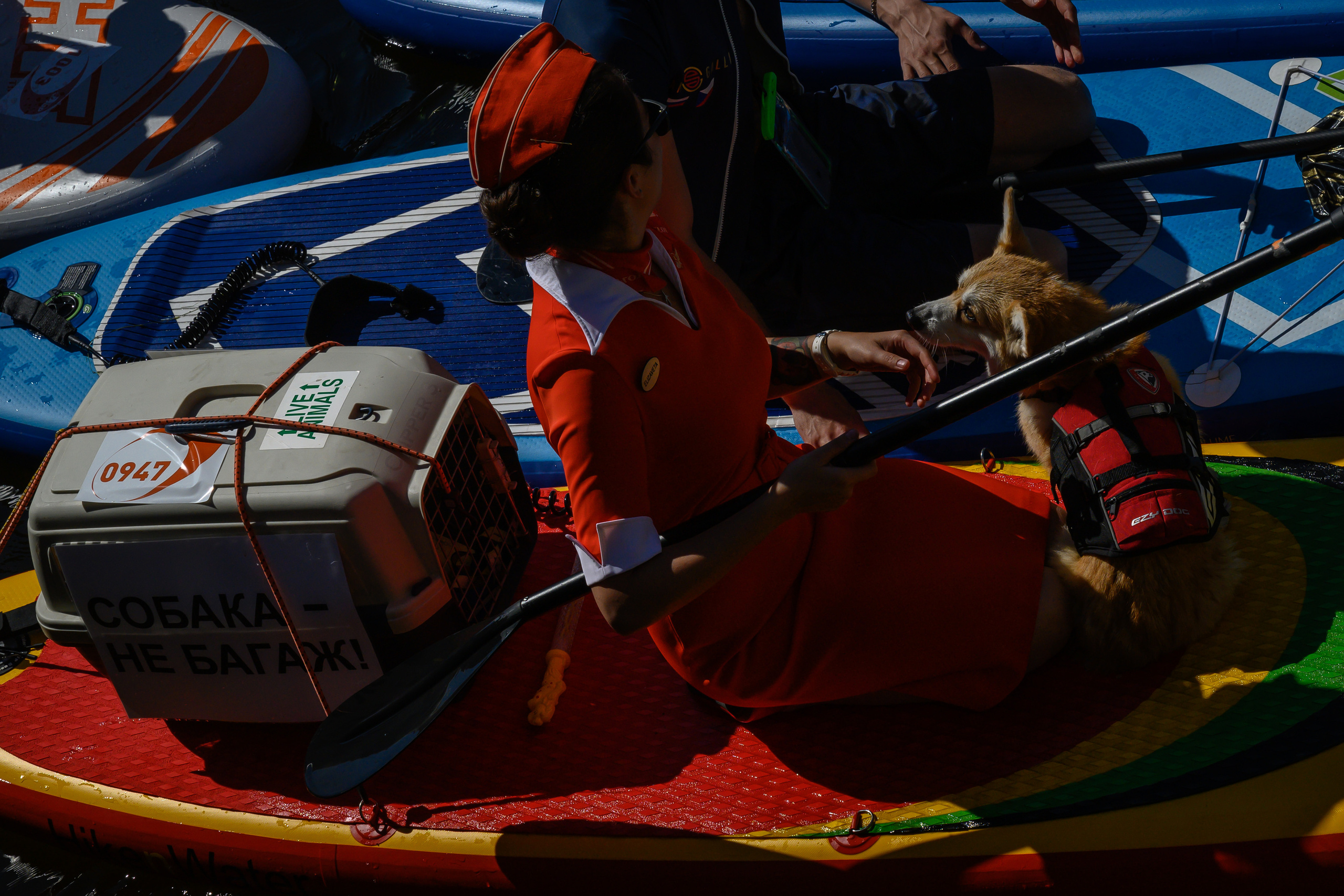 Dimitri Bakhtadze, SUP St. Petersburg. Dimitri Bakhtadze photographer