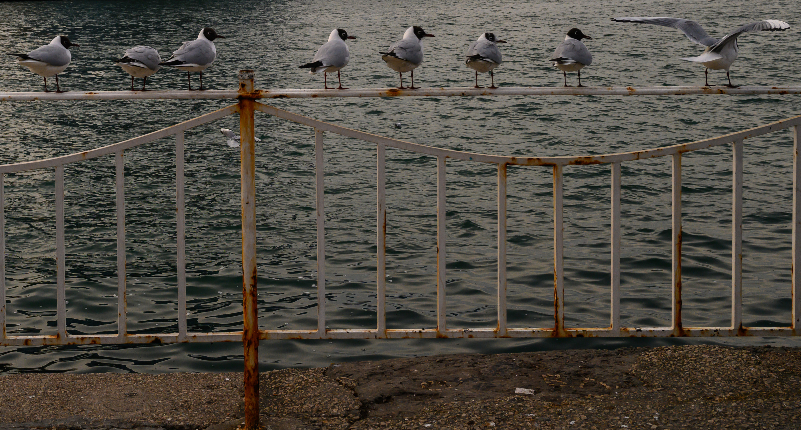 Crimea, 2021. Dimitri Bakhtadze photographer