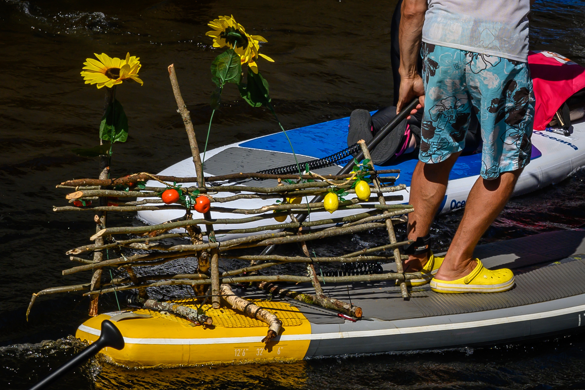 Dimitri Bakhtadze, SUP St. Petersburg. Dimitri Bakhtadze photographer