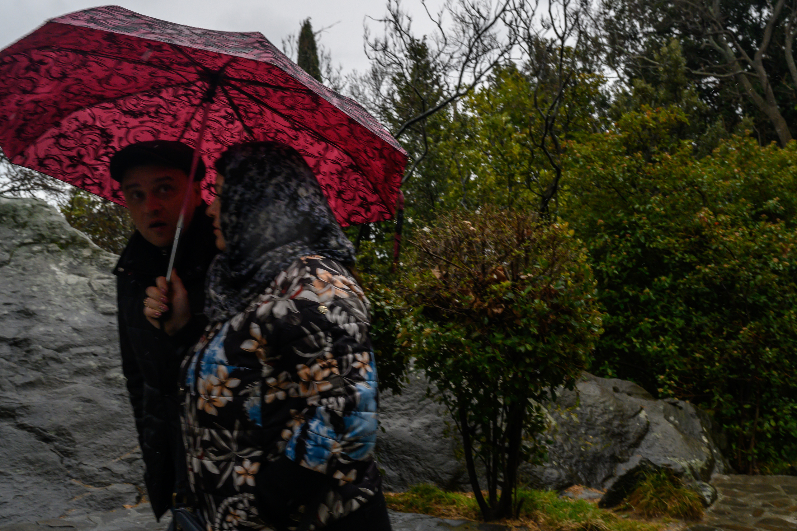 Crimea, 2021. Dimitri Bakhtadze photographer