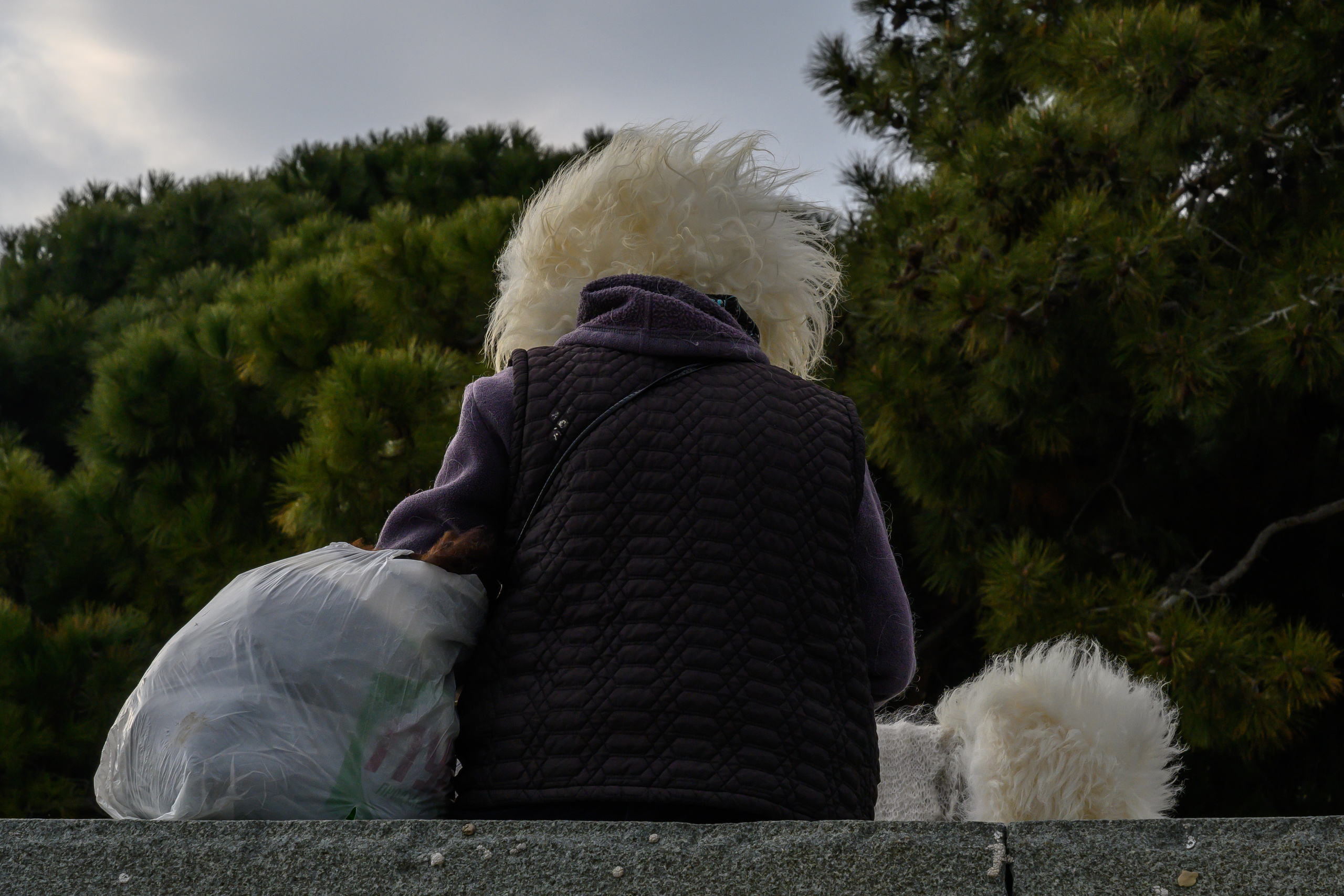 Crimea, 2021. Dimitri Bakhtadze photographer
