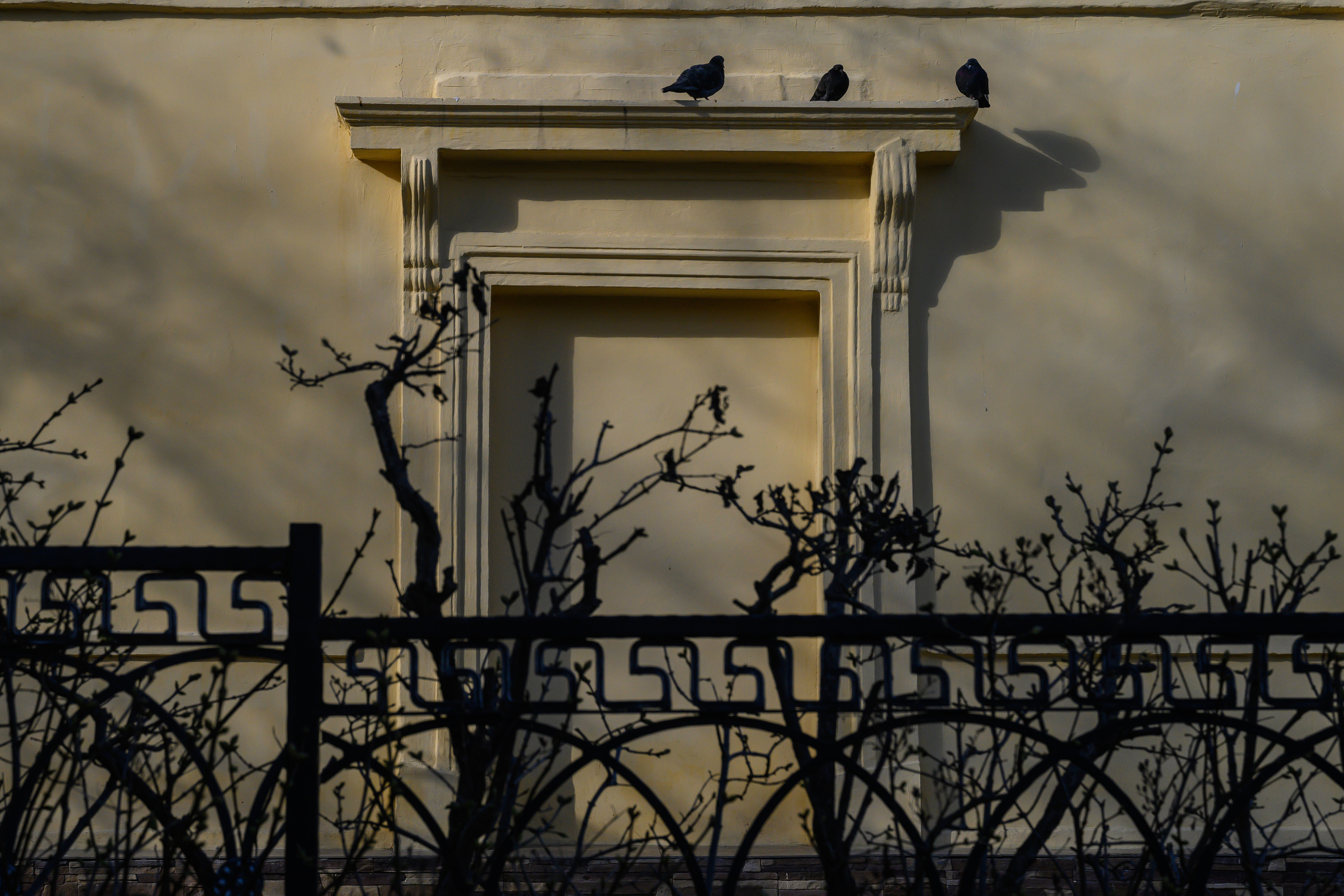 Crimea, 2021. Dimitri Bakhtadze photographer