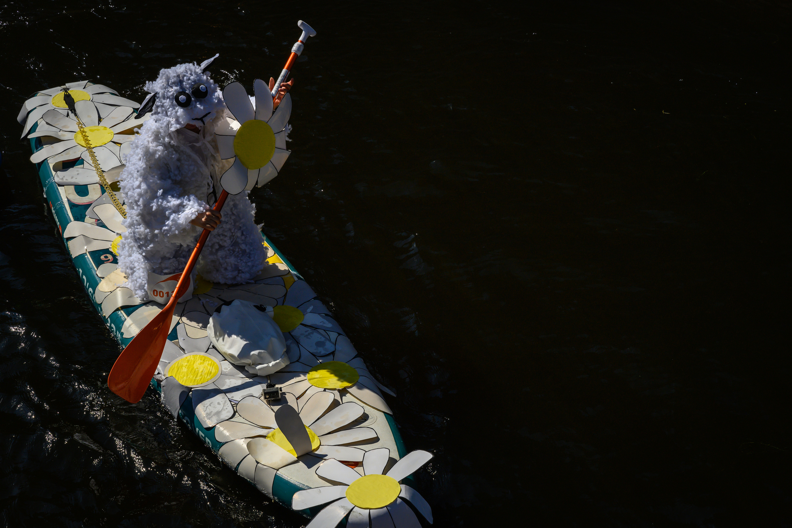 Dimitri Bakhtadze, SUP St. Petersburg. Dimitri Bakhtadze photographer