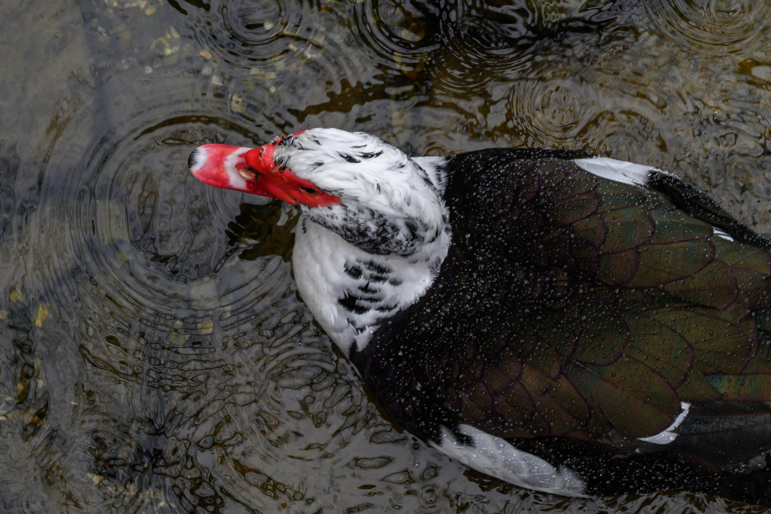 Crimea, 2021. Dimitri Bakhtadze photographer