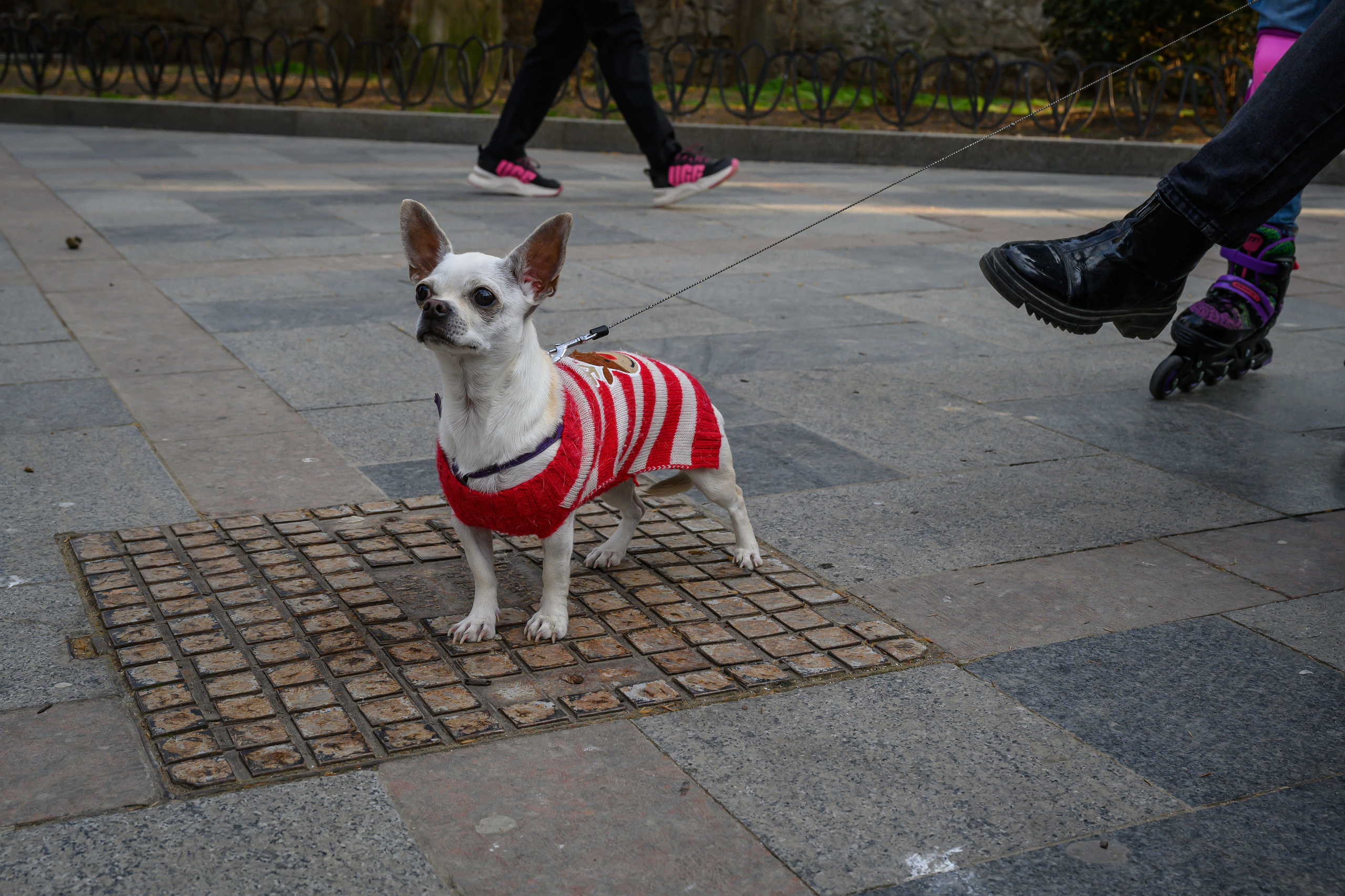 Crimea, 2021. Dimitri Bakhtadze photographer