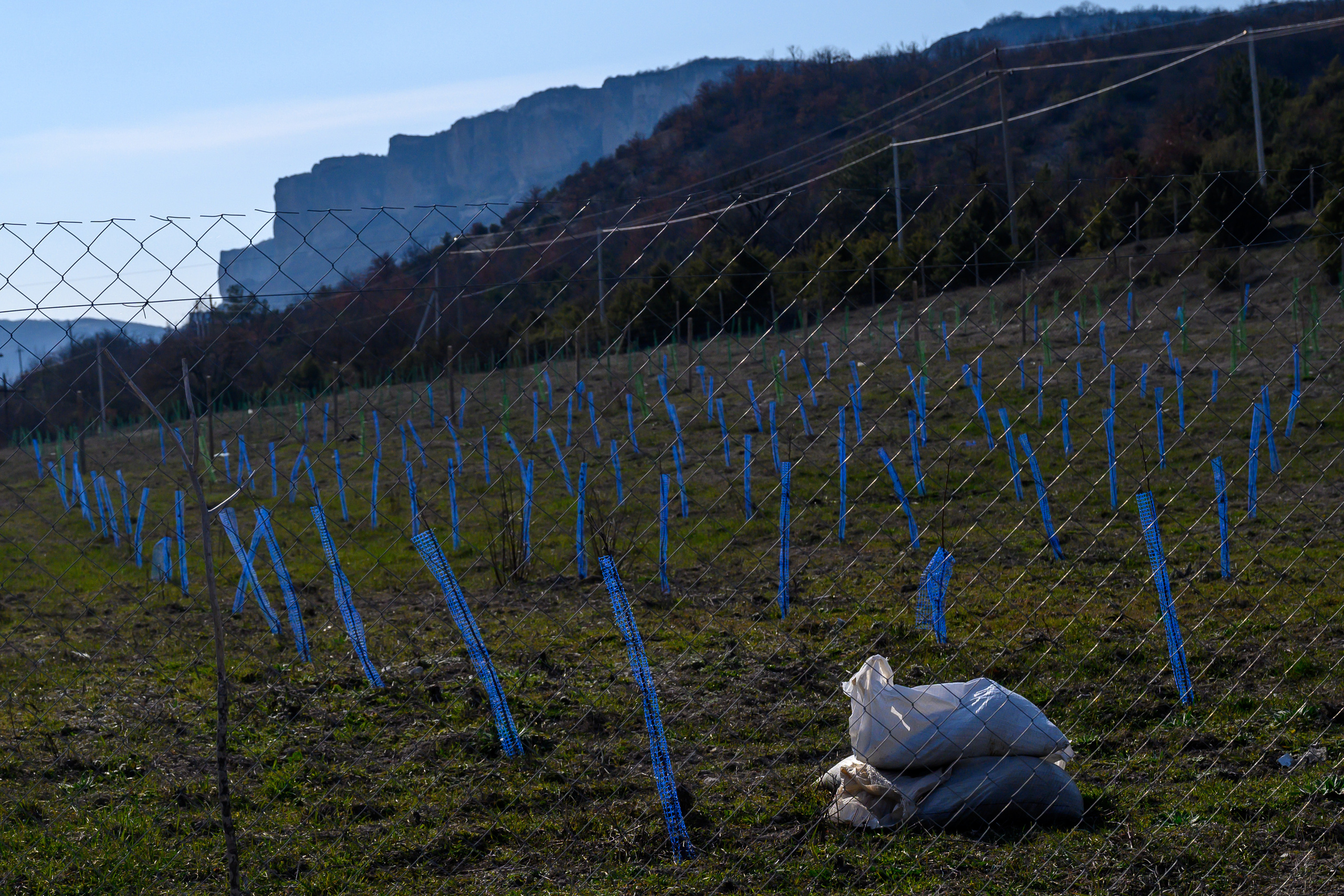 Crimea, 2021. Dimitri Bakhtadze photographer