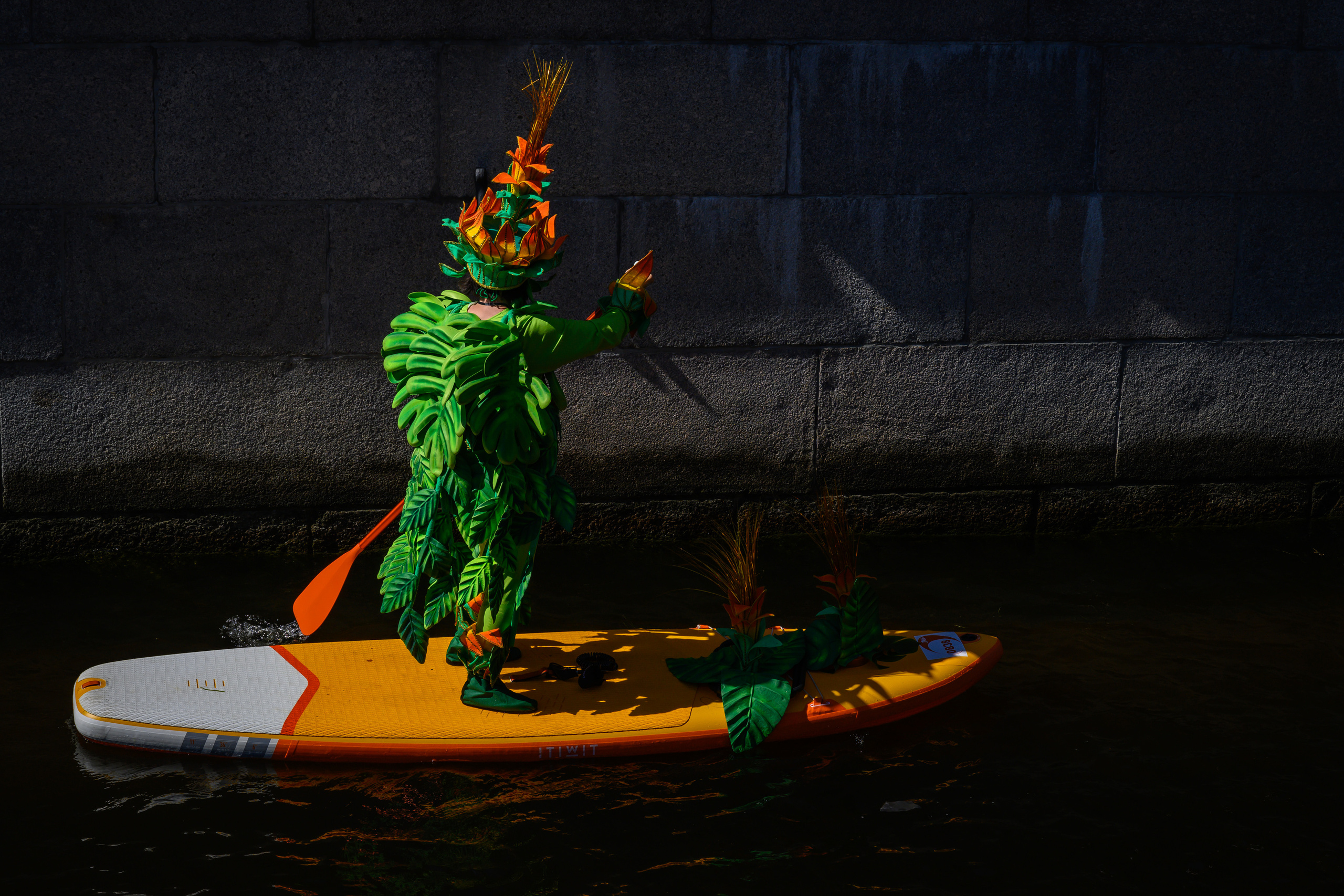 Dimitri Bakhtadze, SUP St. Petersburg. Dimitri Bakhtadze photographer