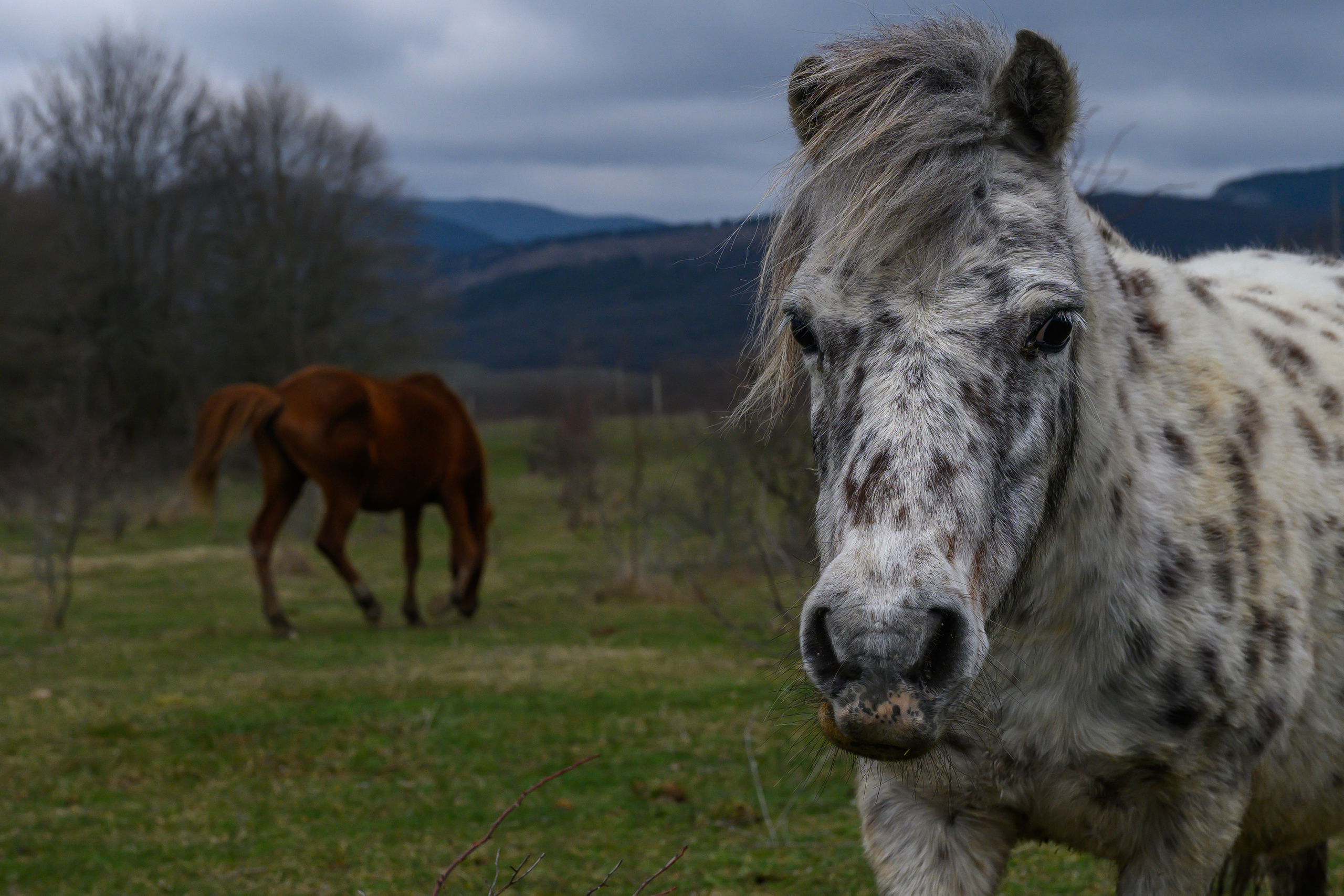 Crimea, 2021. Dimitri Bakhtadze photographer