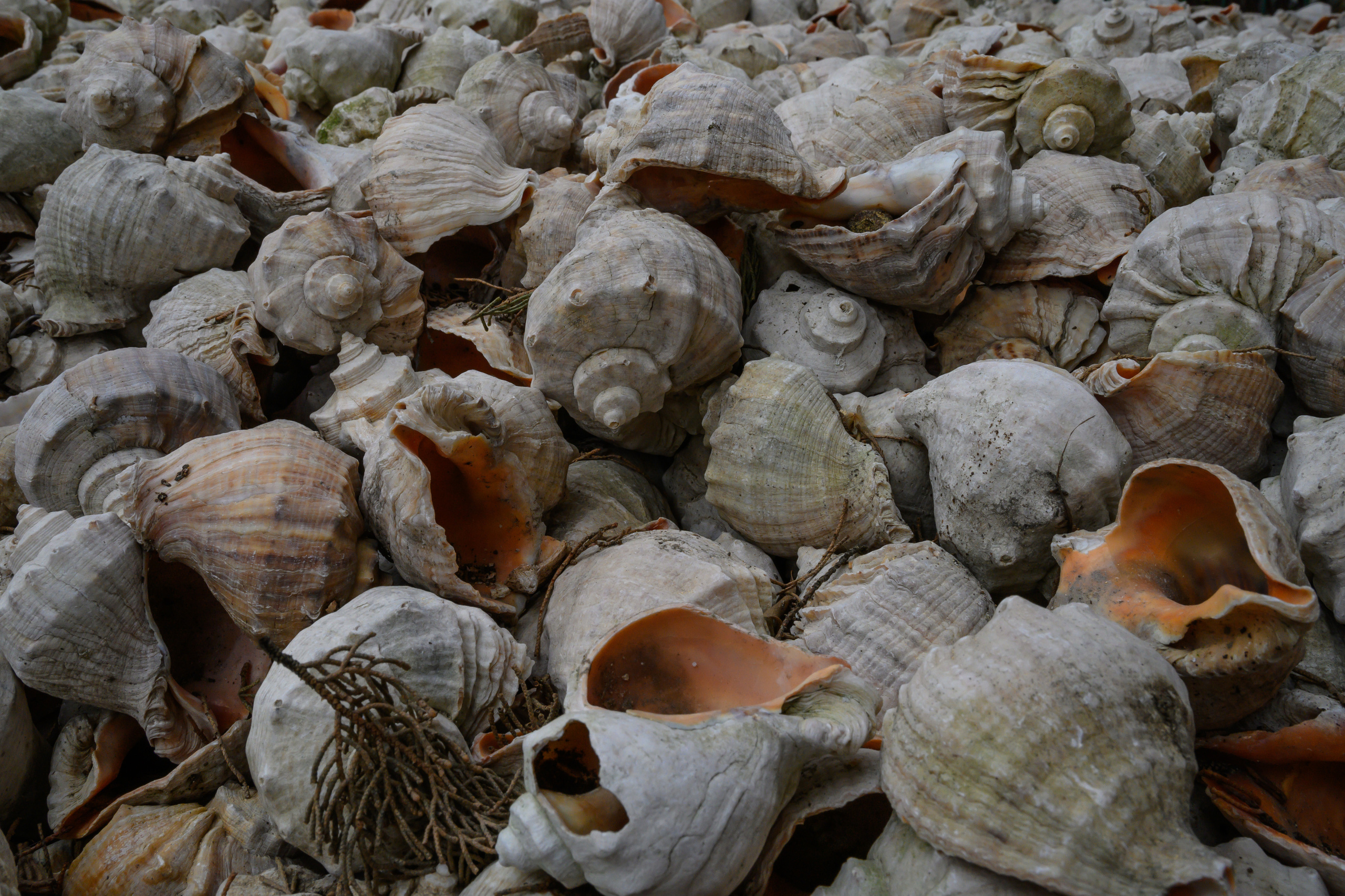 Crimea, 2021. Dimitri Bakhtadze photographer