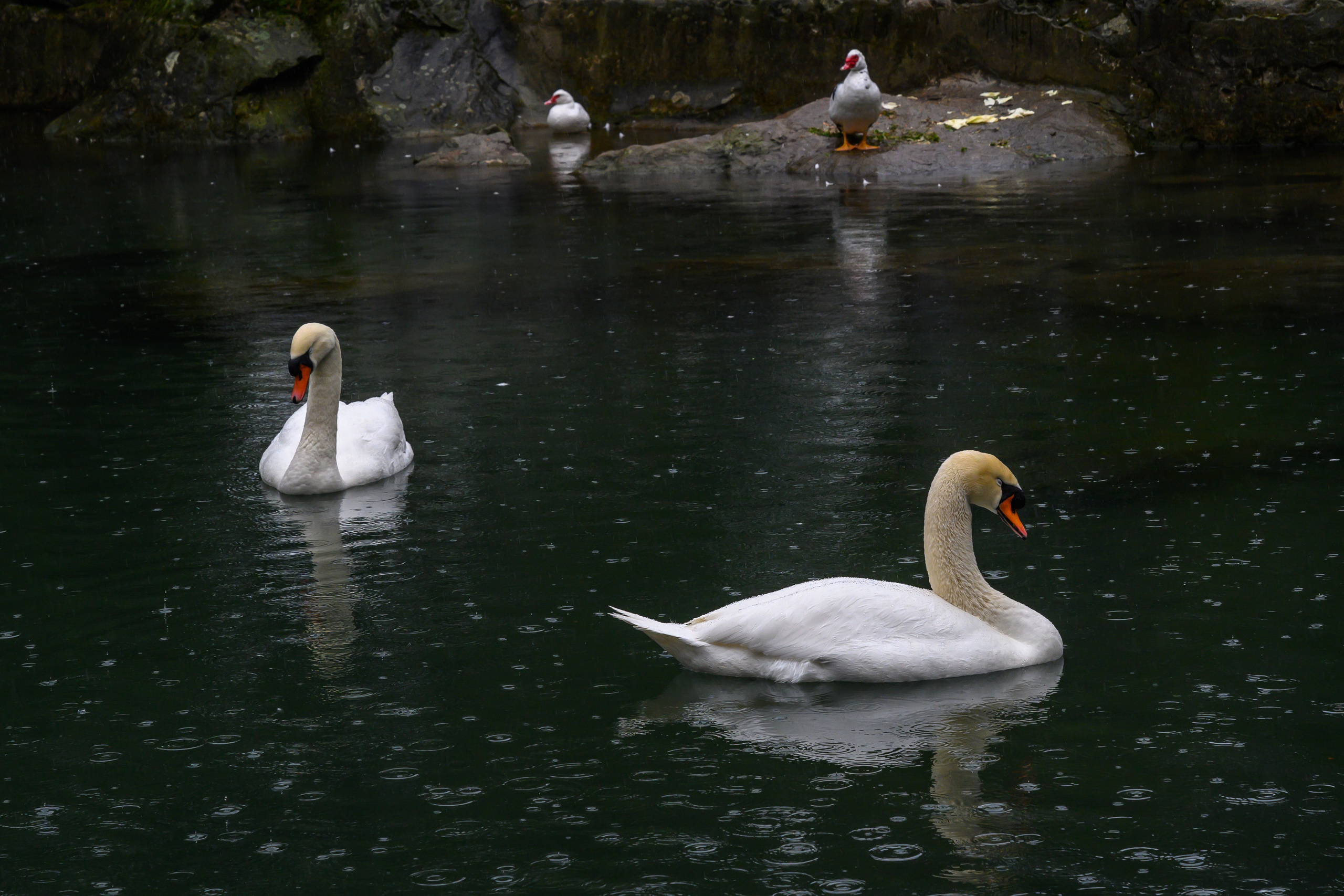 Crimea, 2021. Dimitri Bakhtadze photographer