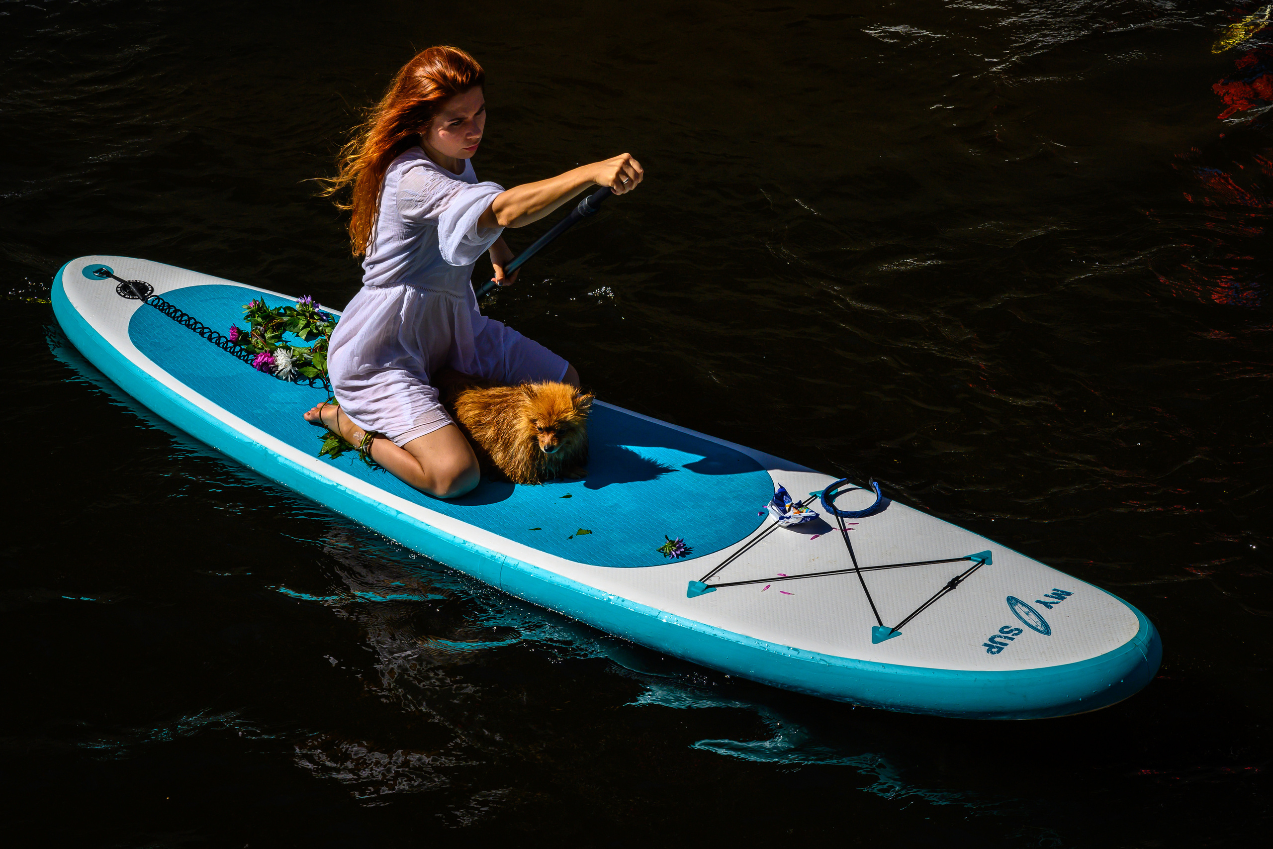 Dimitri Bakhtadze, SUP St. Petersburg. Dimitri Bakhtadze photographer