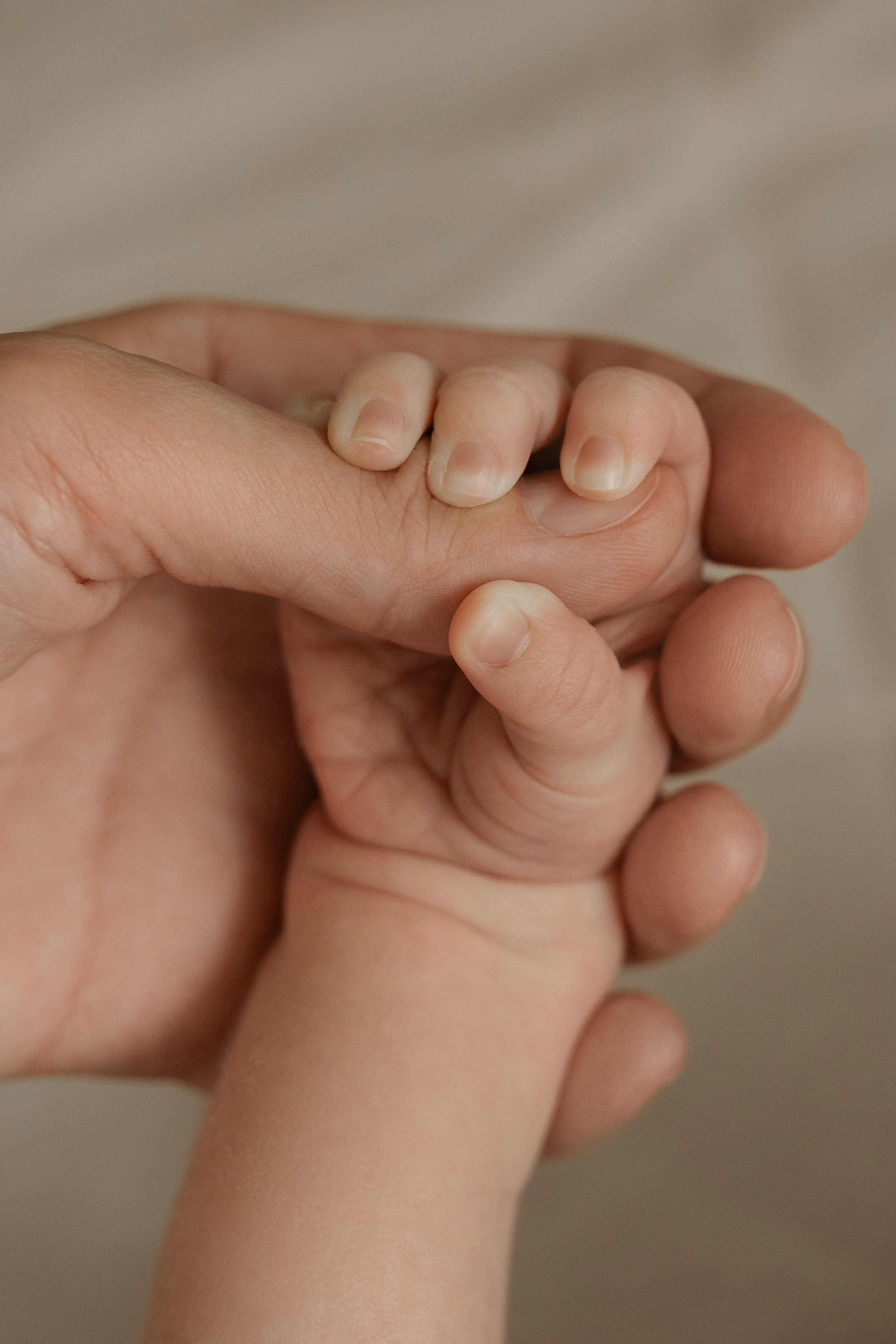 Новорожденные пакет Я ДОМА. Фотограф новорожденных г. Рязань, детский и семейный фотограф