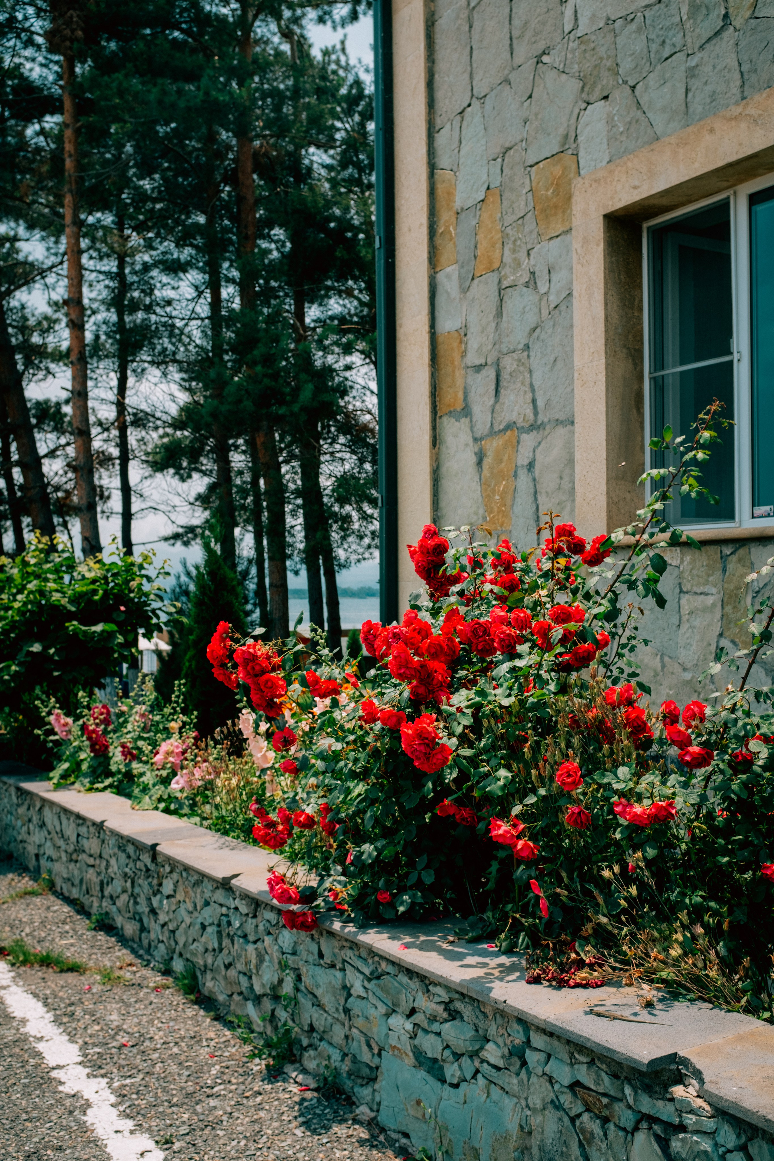 Армения. Фотограф Екатерина Катунова | Москва