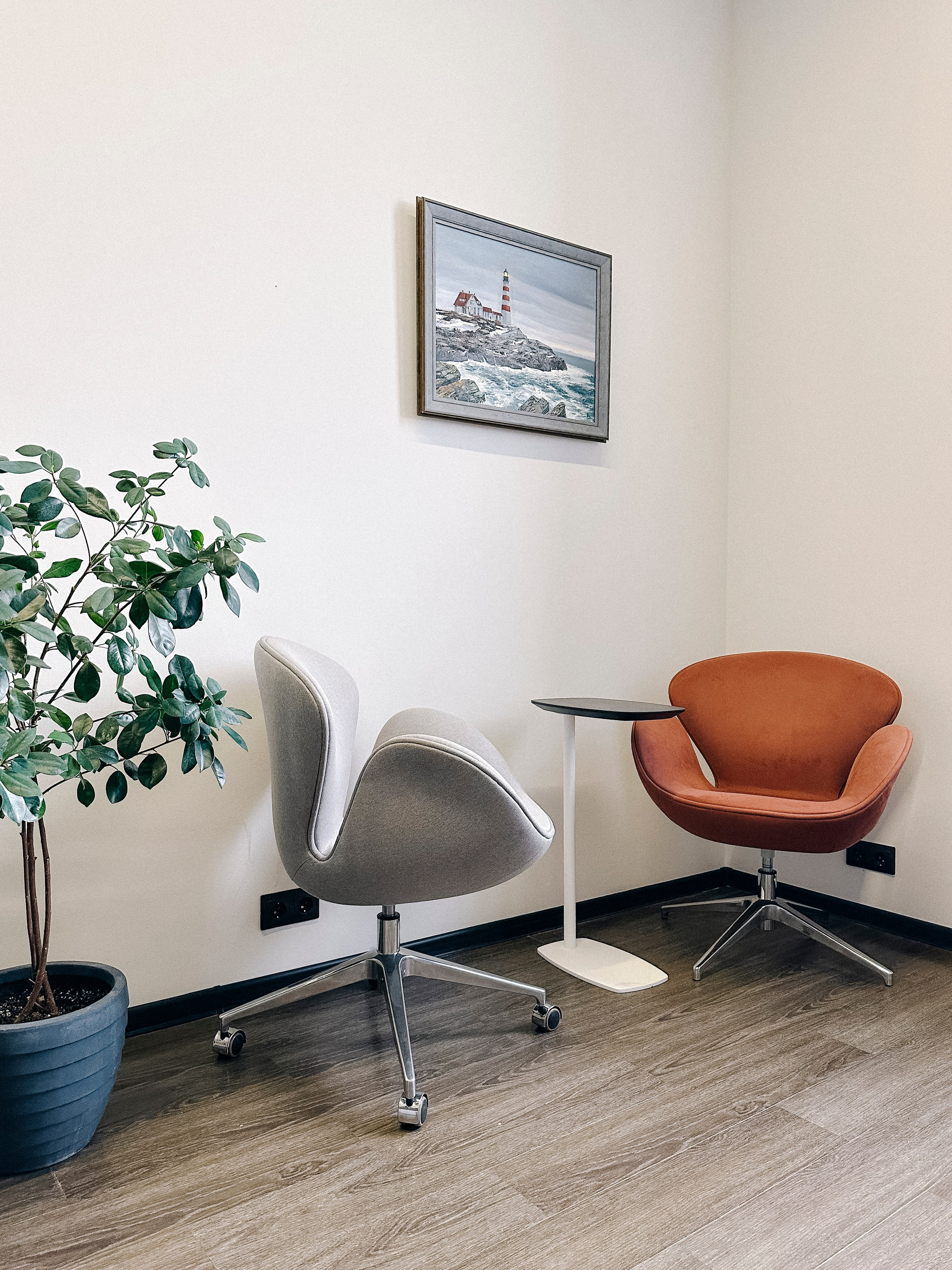 Когда офис — второй Дом. Павлова Евгения