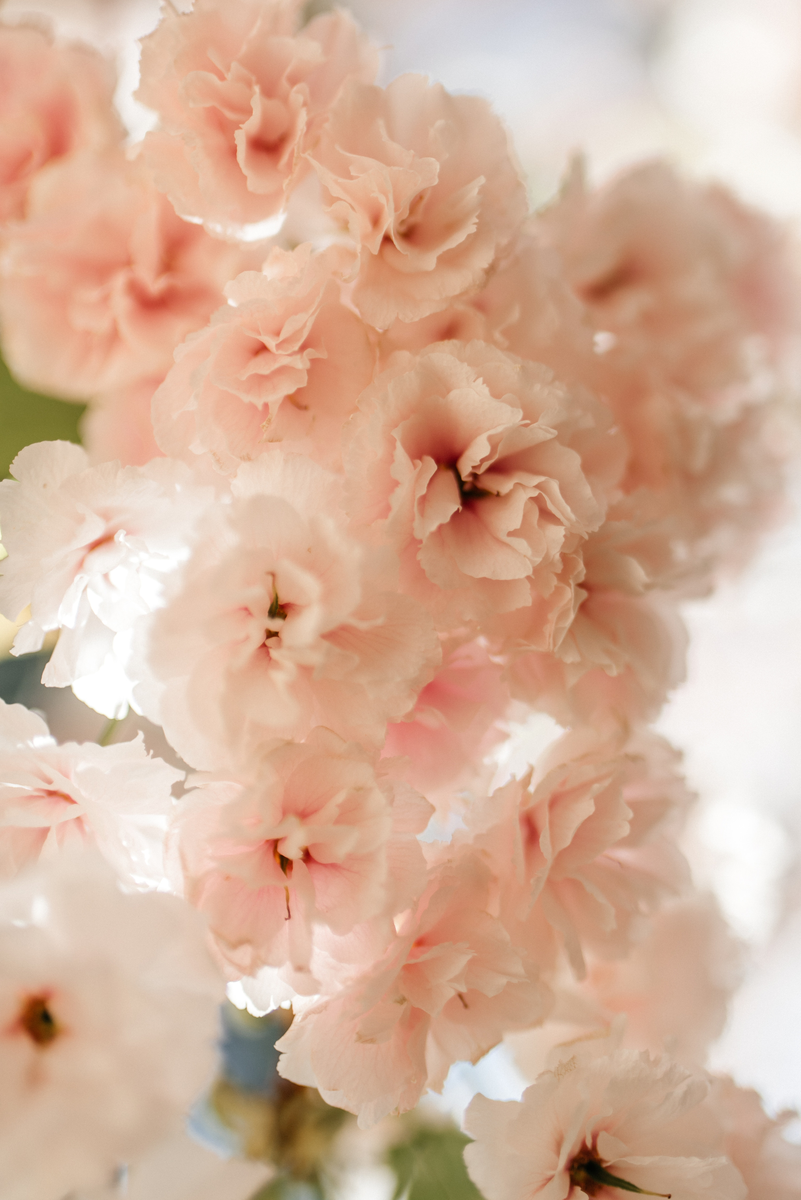 Отпуск. Костюшко Кристина — семейный и свадебный фотограф в Минске