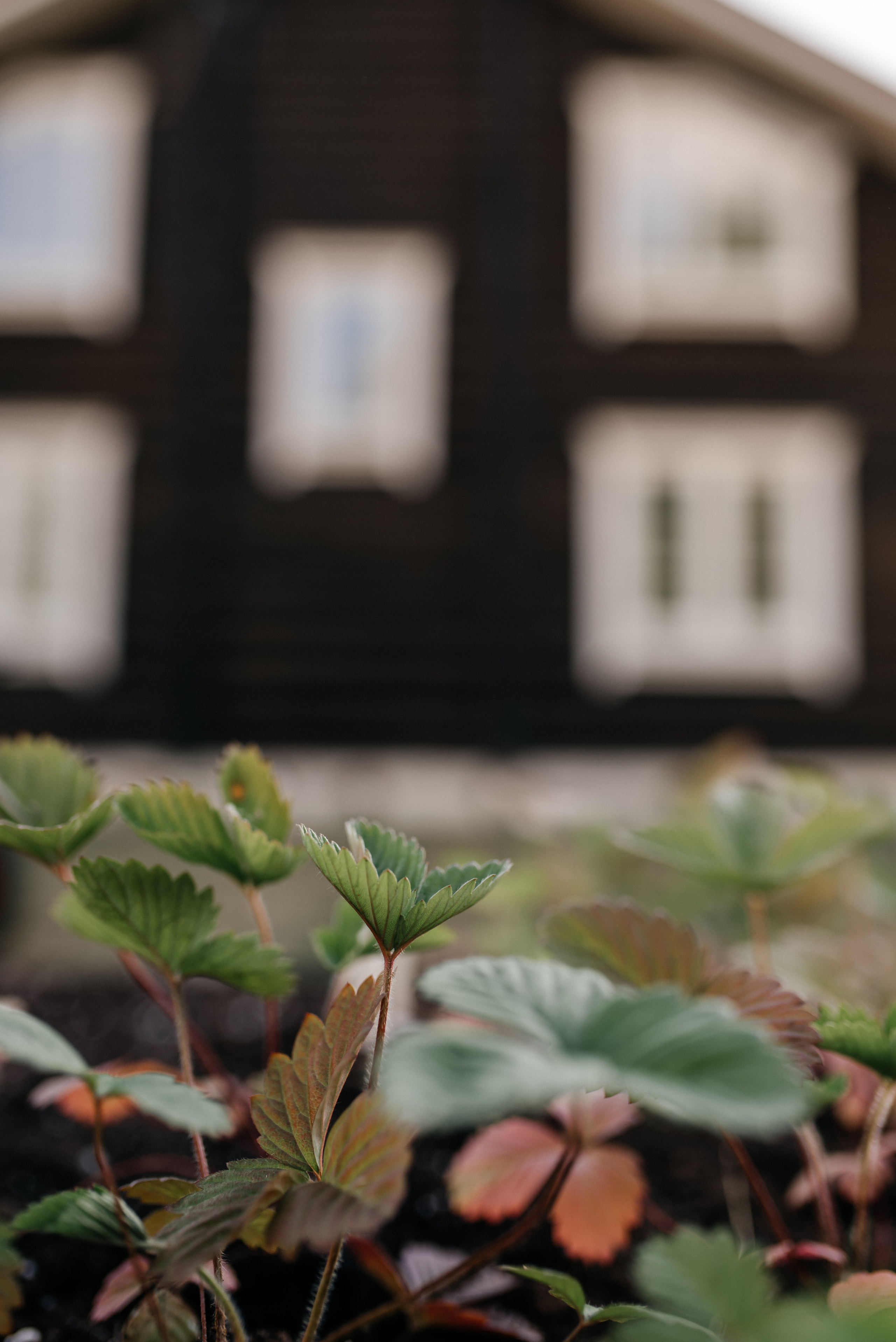 Настя+Нина. Костюшко Кристина — семейный и свадебный фотограф в Минске