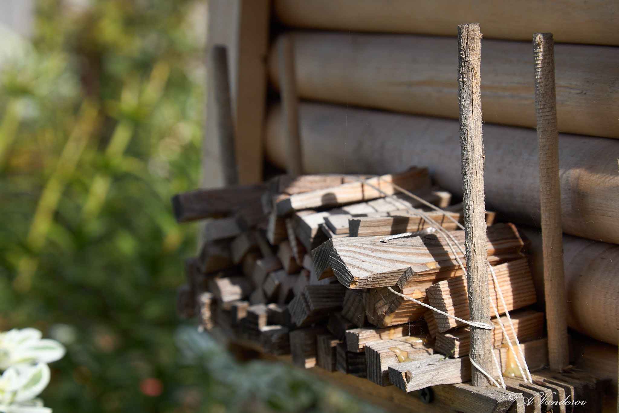 Село Савкино Баганского района Новосибирской области. Фотограф Омск | Александр Вандеров
