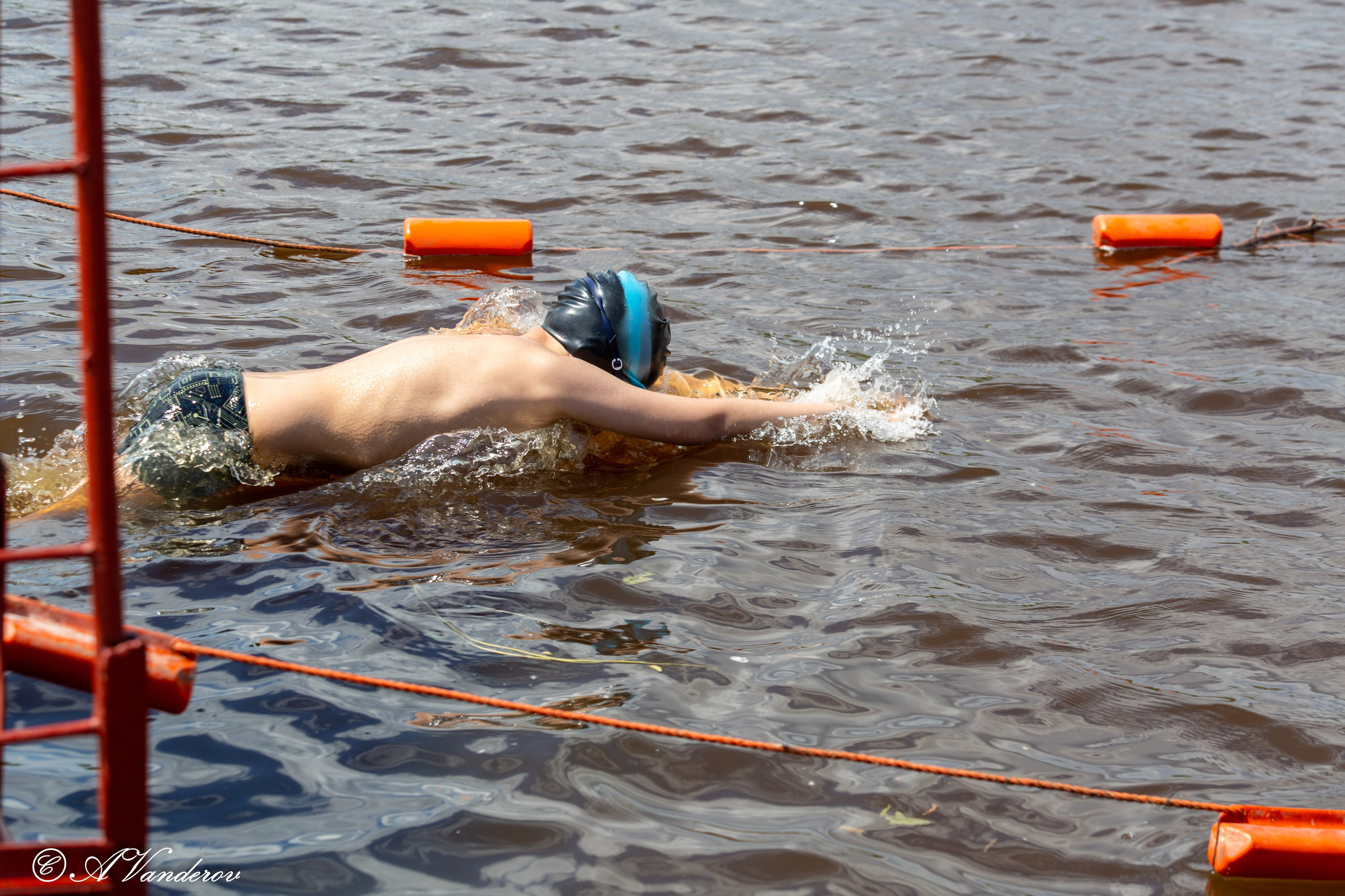 Заплыв 02.06.2024. Фотограф Омск | Александр Вандеров