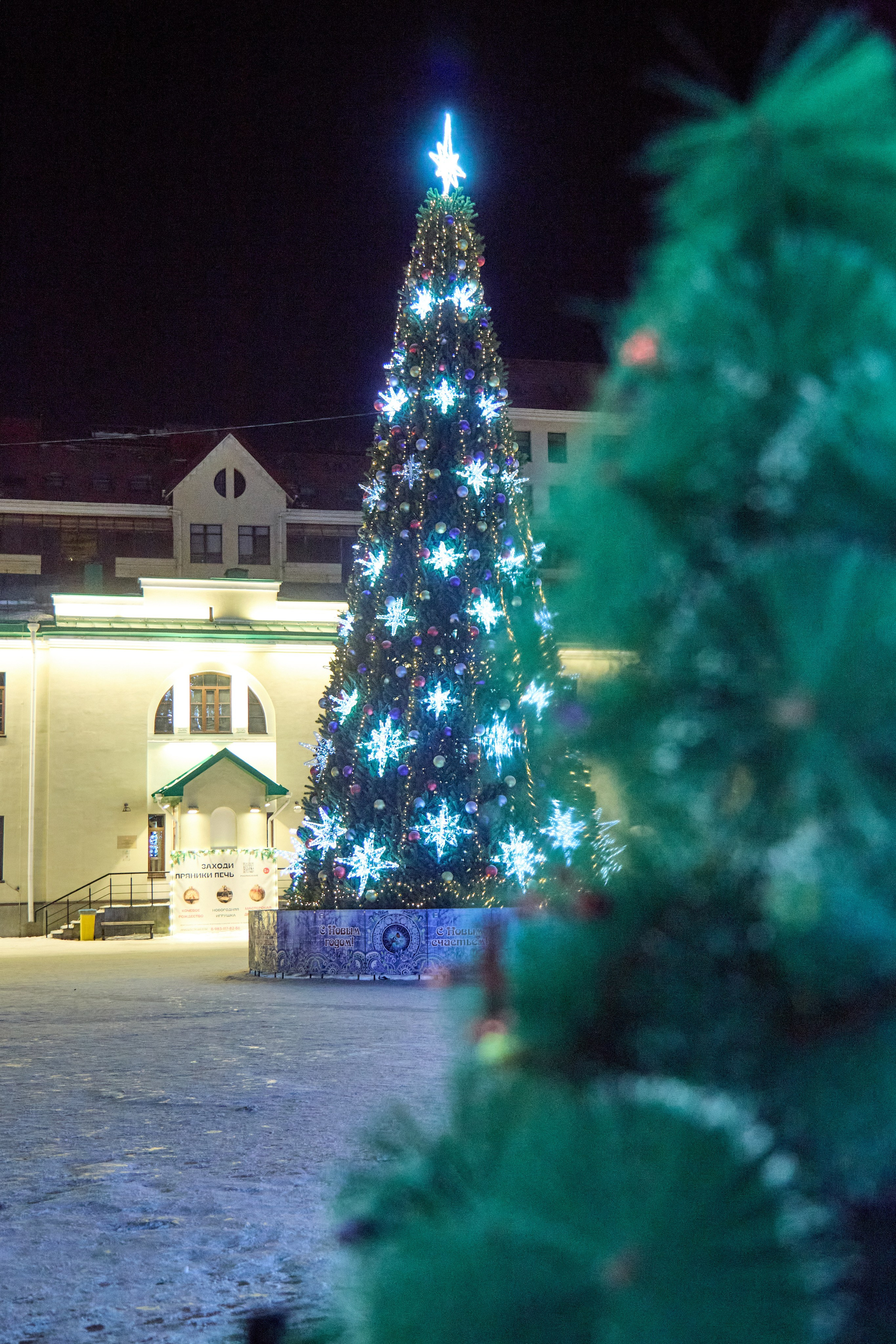 Новогодний Омск 2025. Фотограф Омск | Александр Вандеров