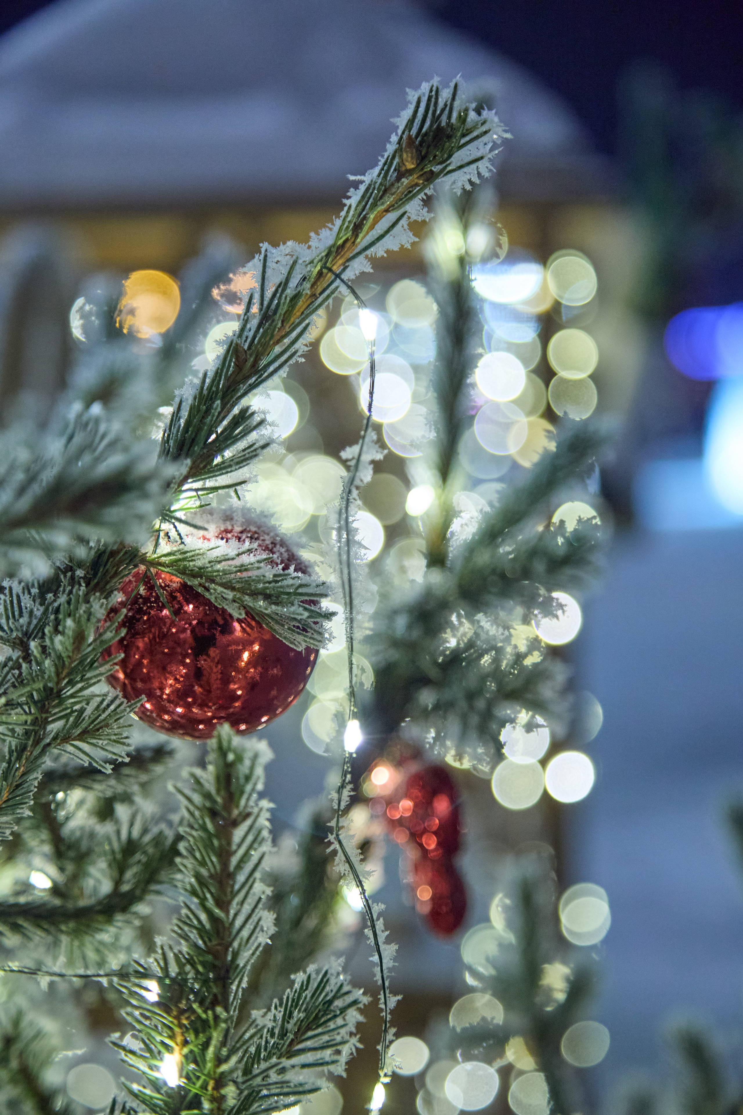 Новогодний Омск 2025. Фотограф Омск | Александр Вандеров